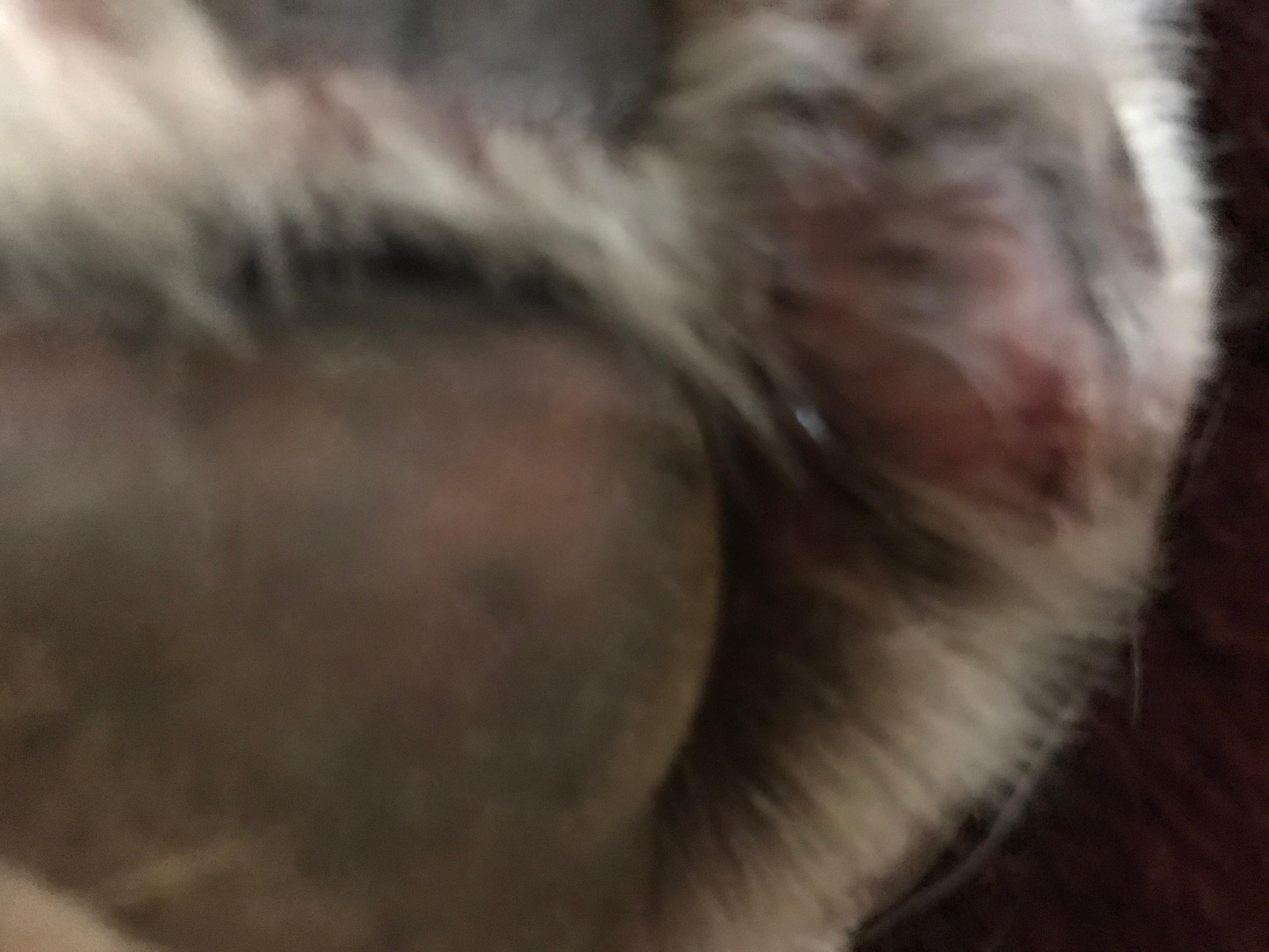 Question details sensitive content