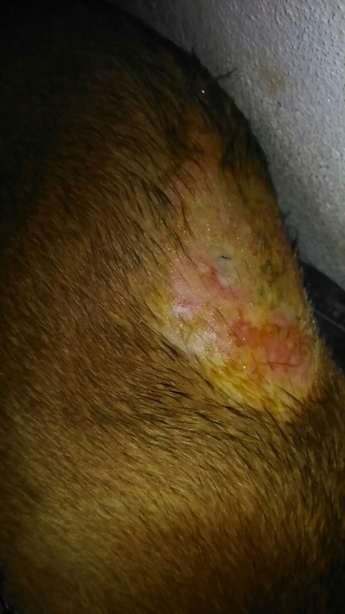 Question details sensitive content