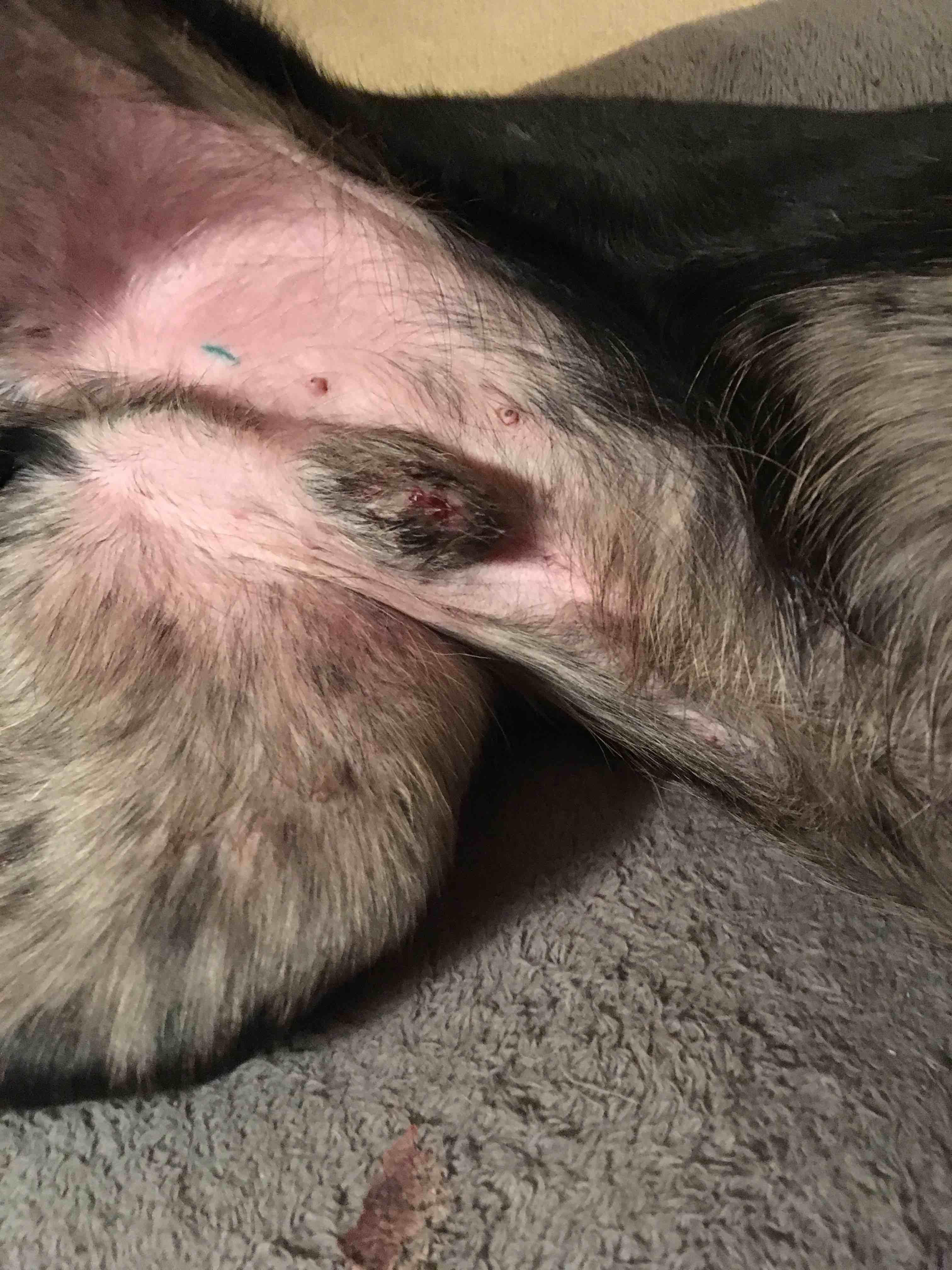 Question details sensitive content