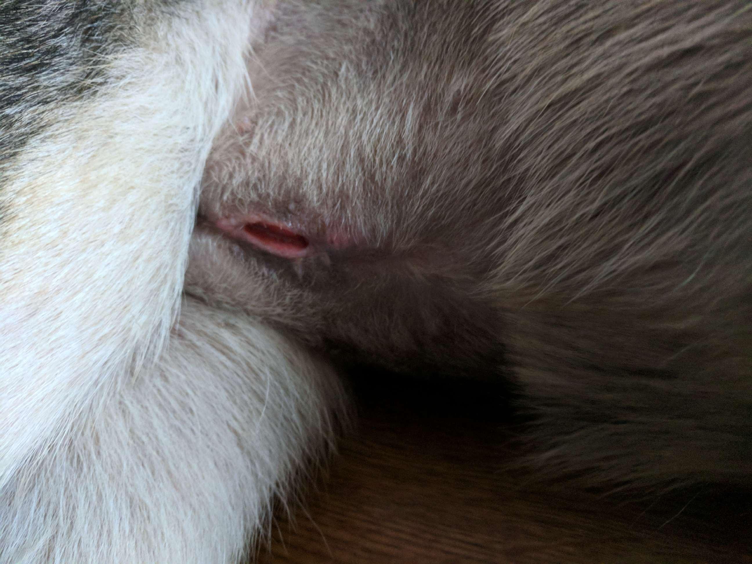 Question details sensitive content