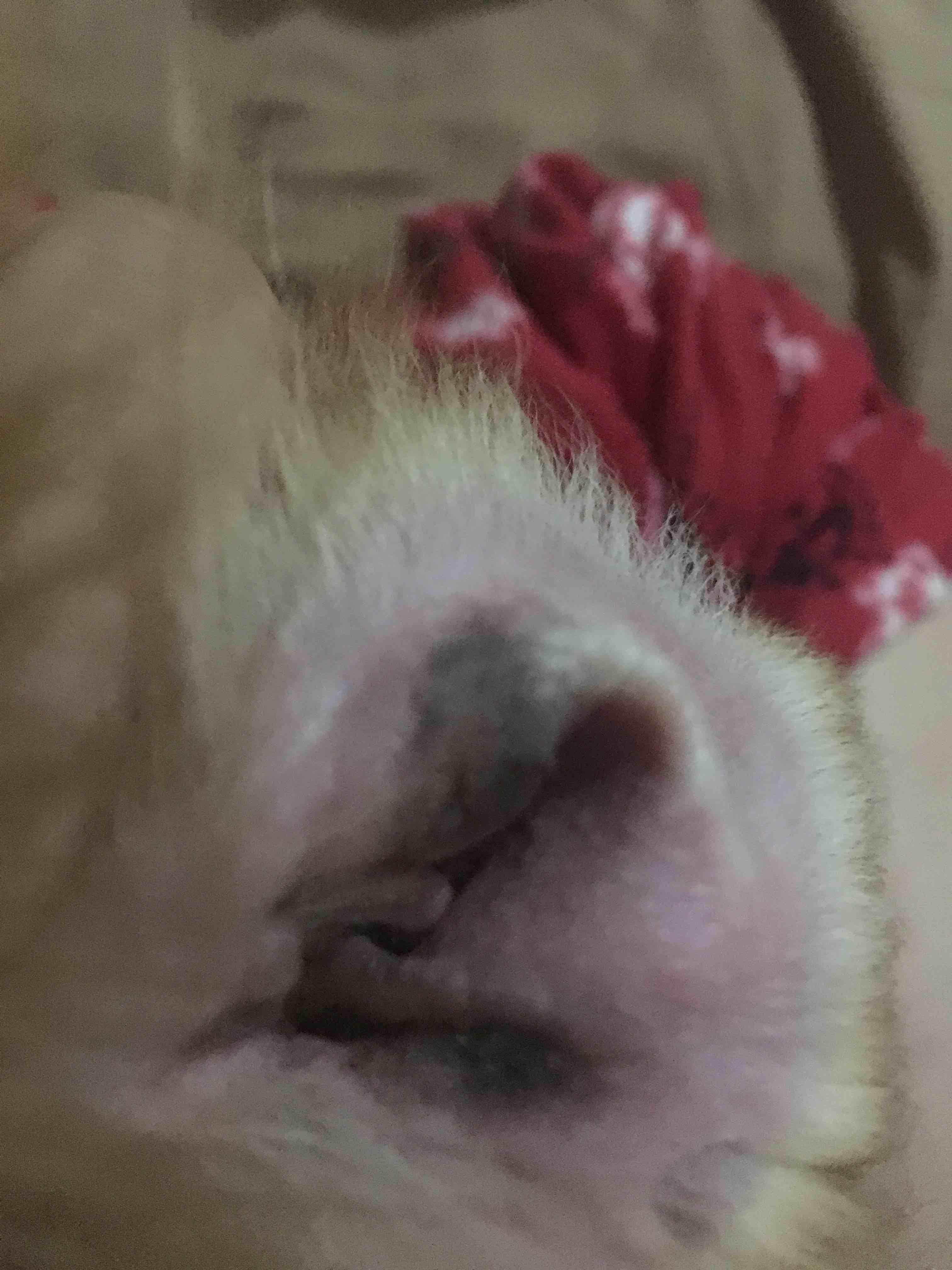 Question details sensitive content