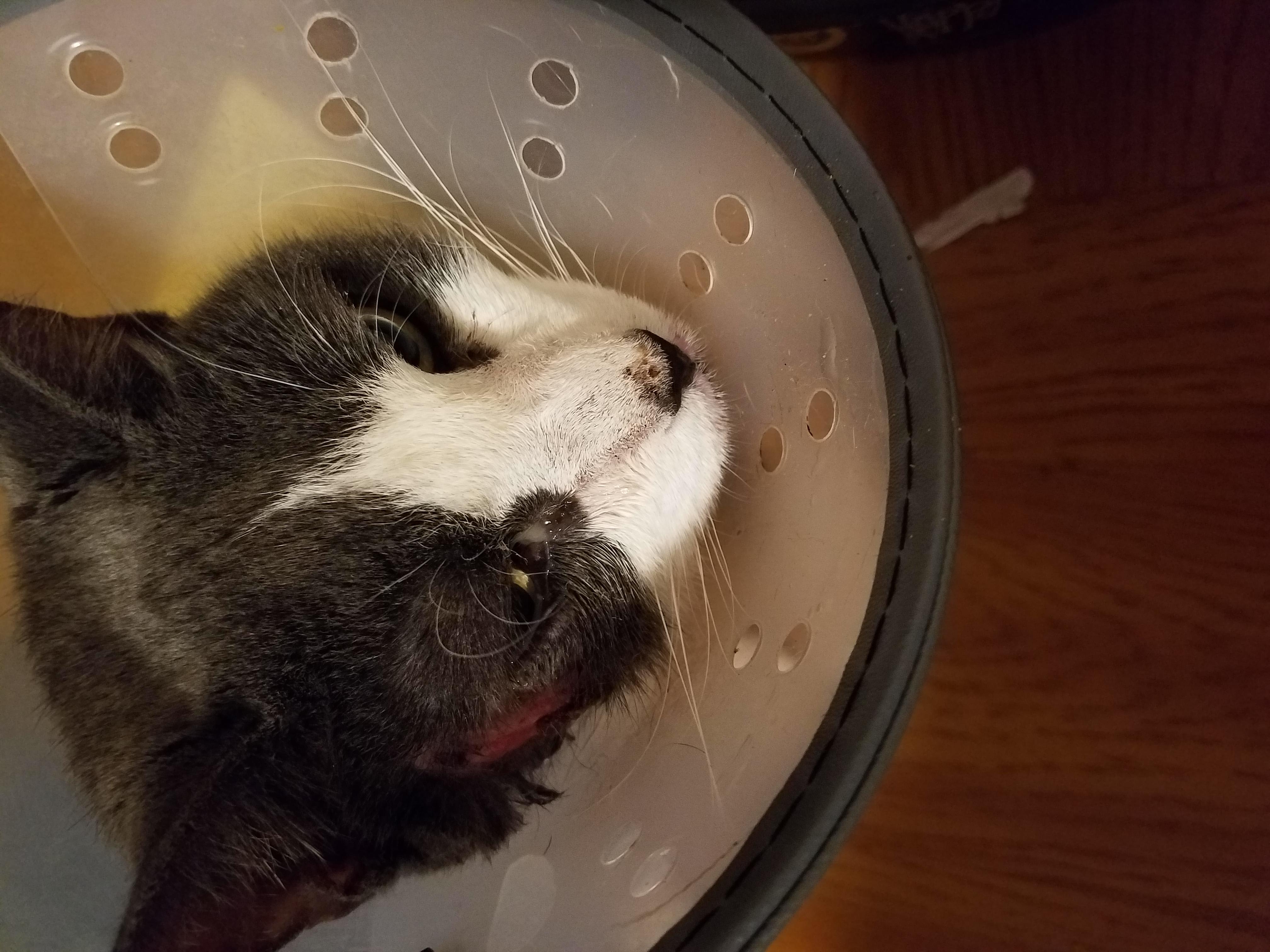 Question details sensitive content