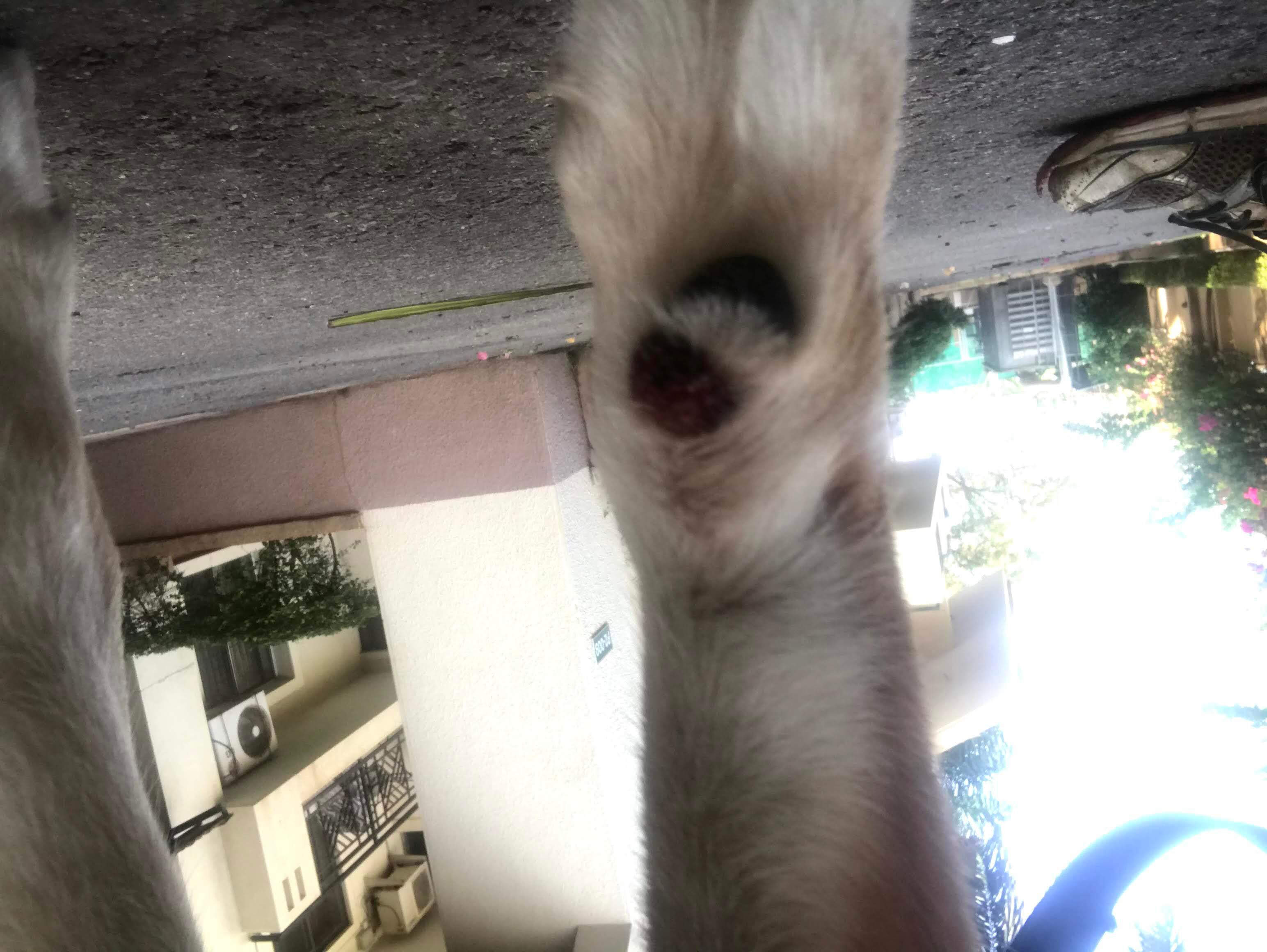 Question details sensitive content