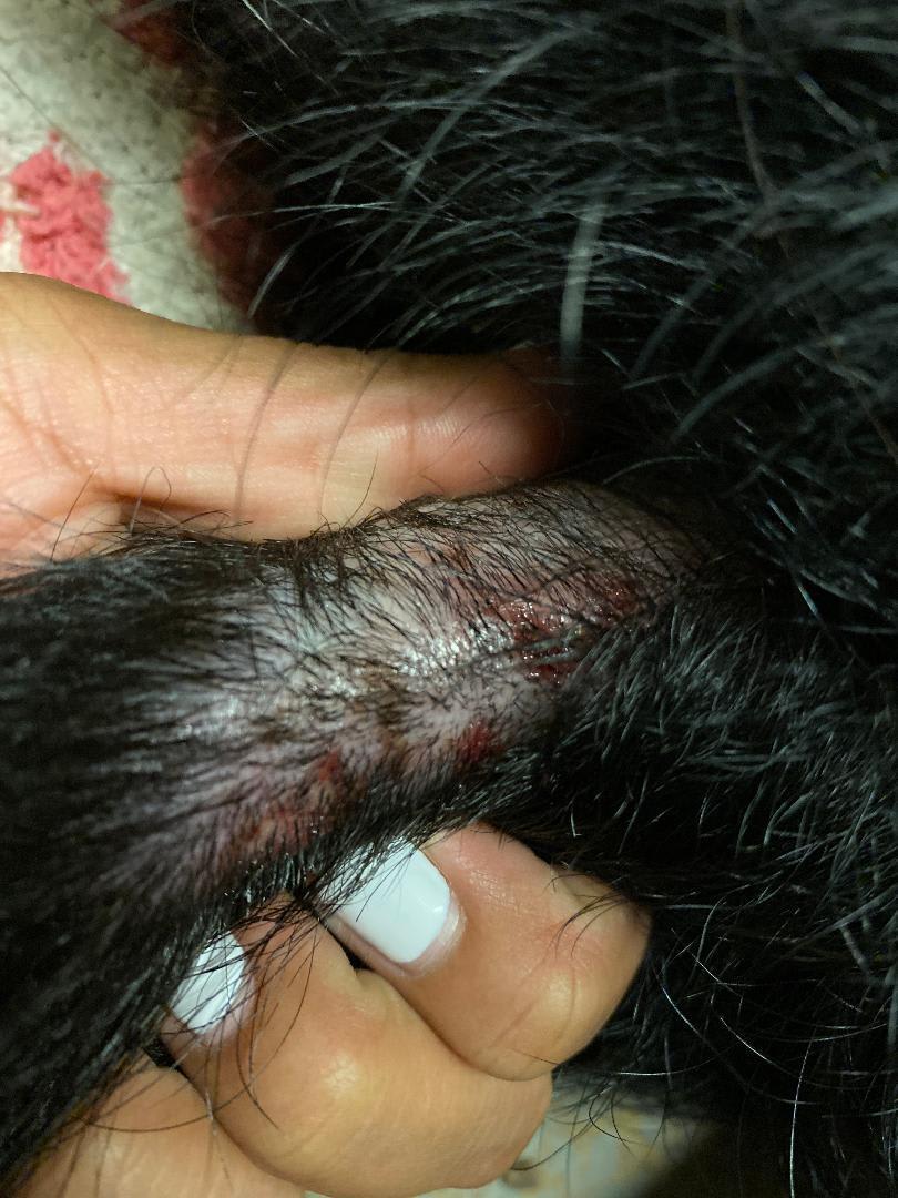 Question details sensitive content