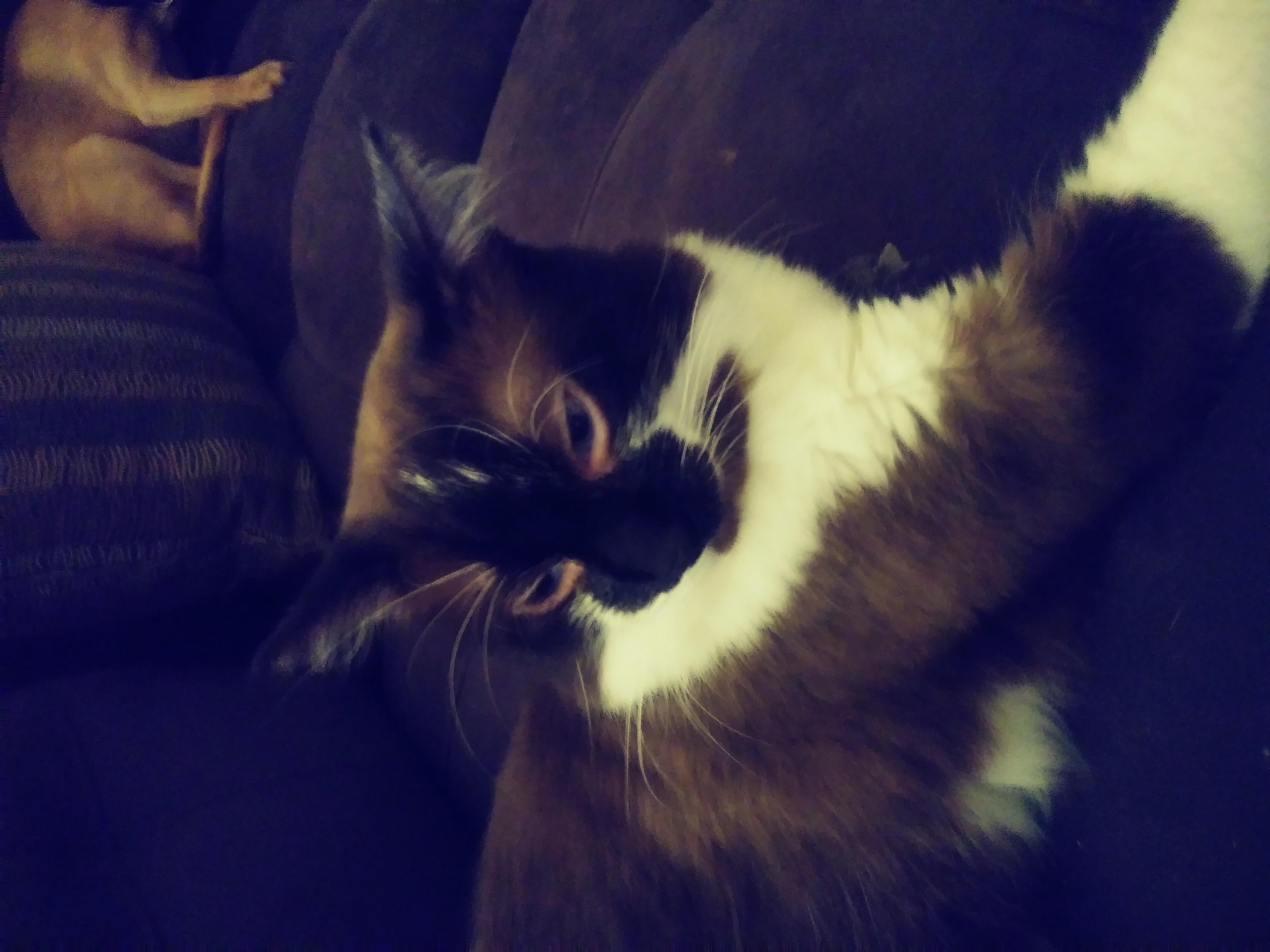 Question details sensitive content