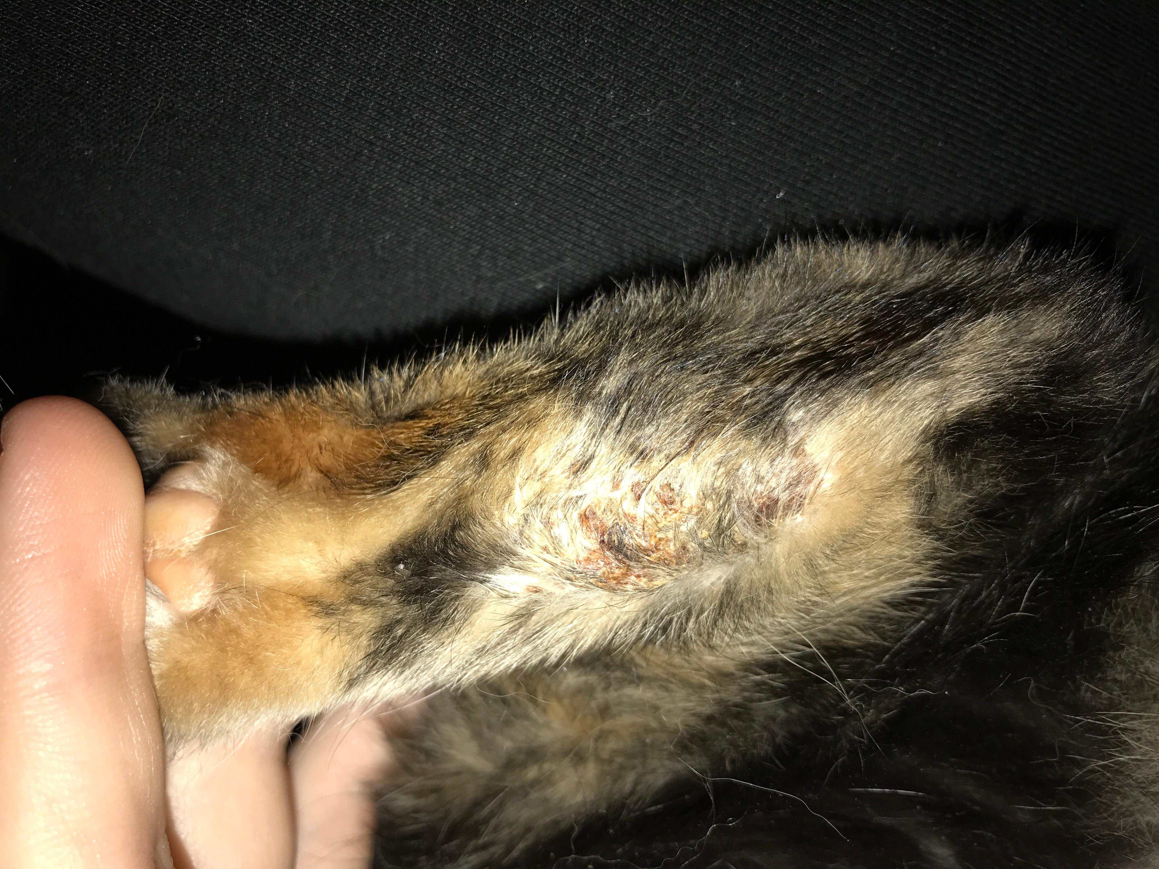 Question details sensitive content