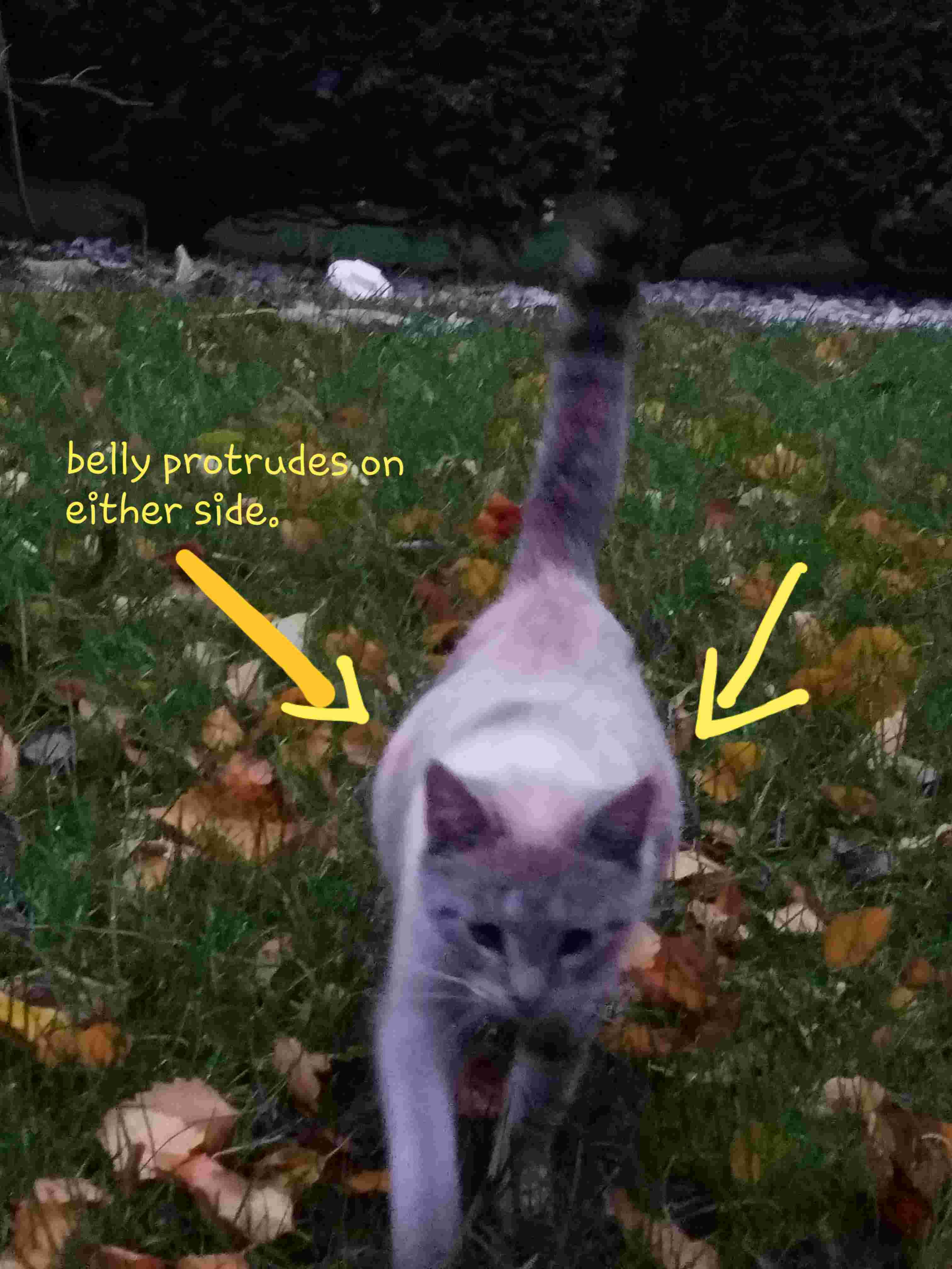 Question details sensitive content