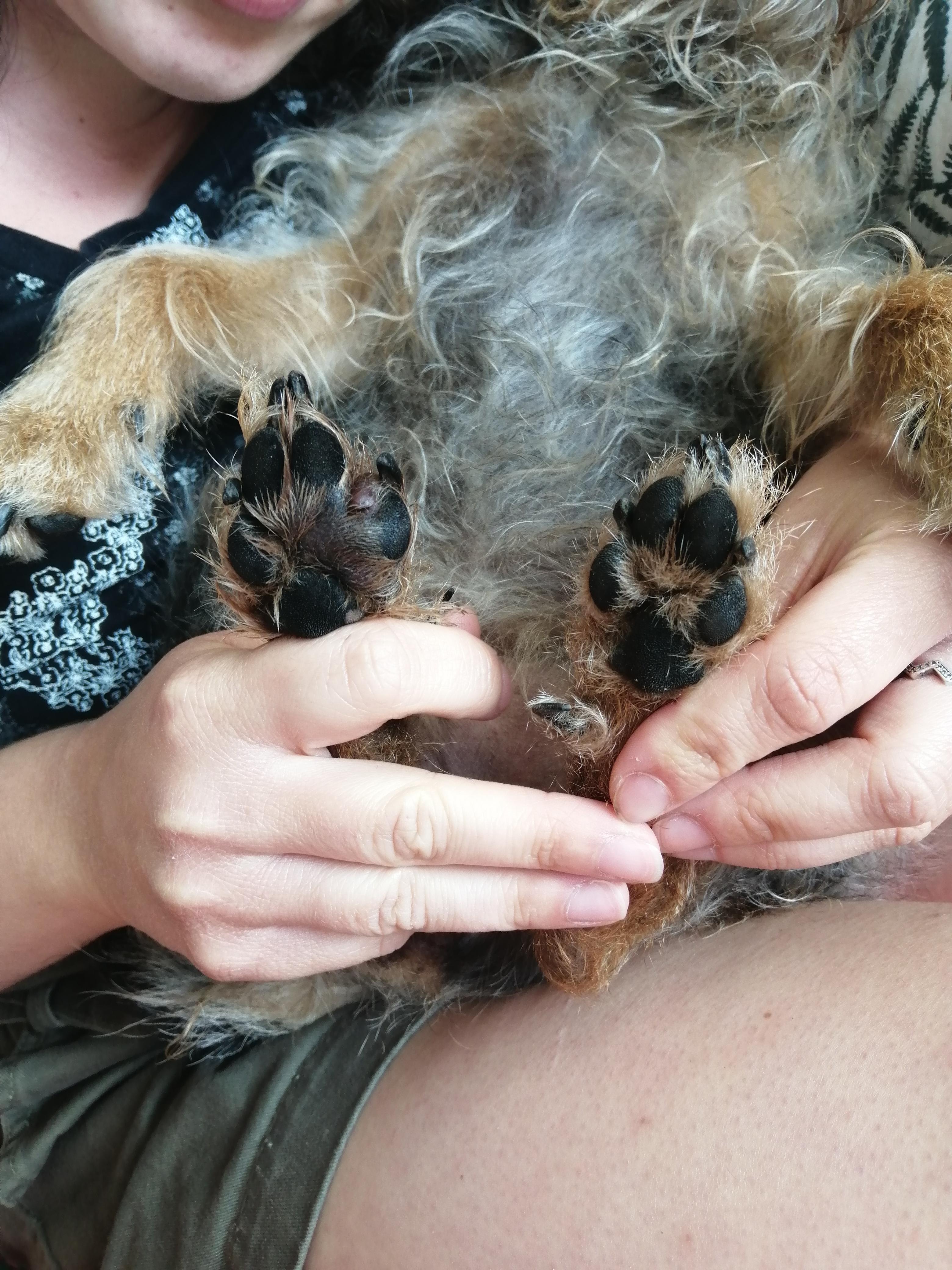 Question details sensitive content