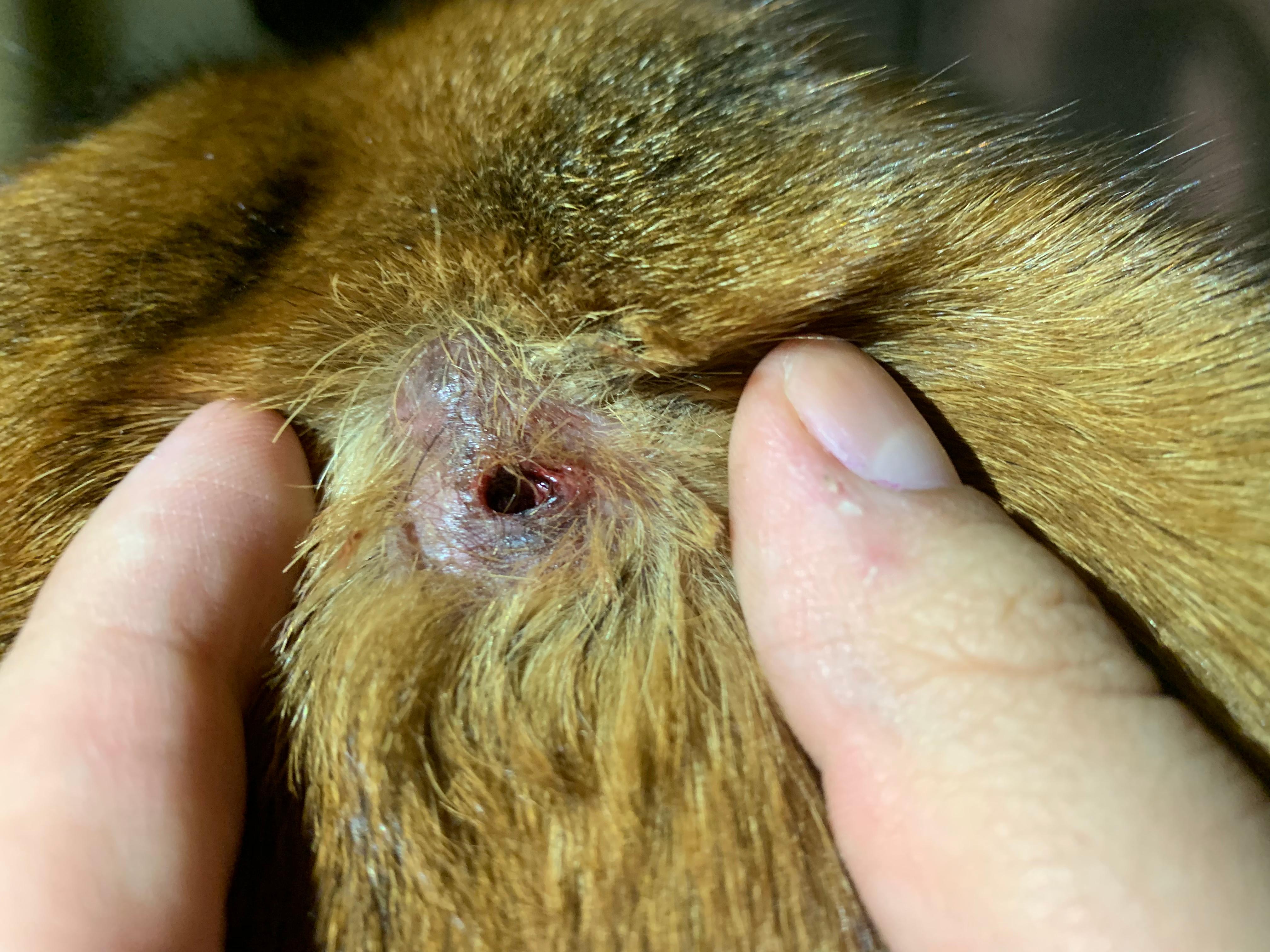 Question details sensitive content