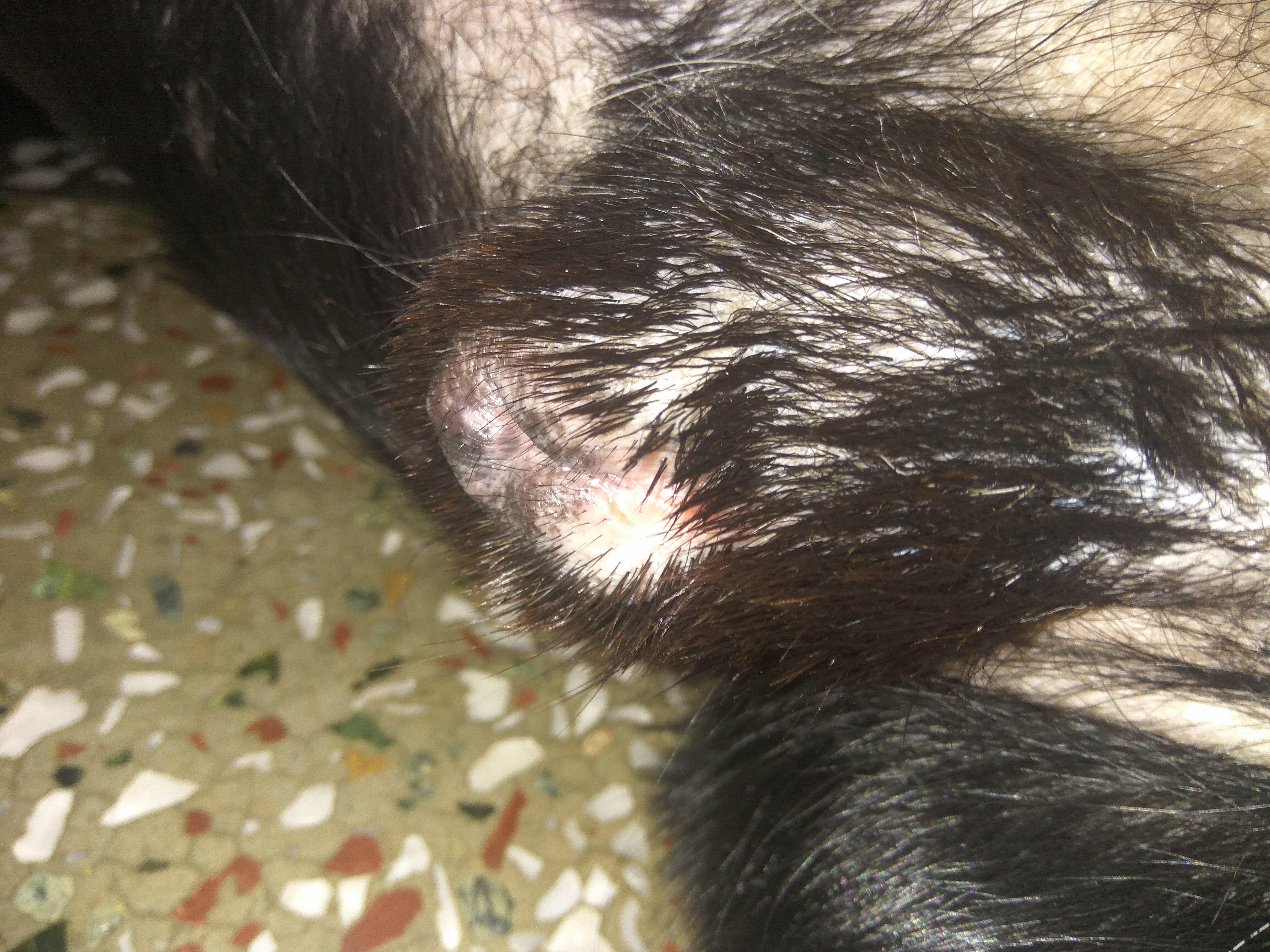 Question details sensitive content