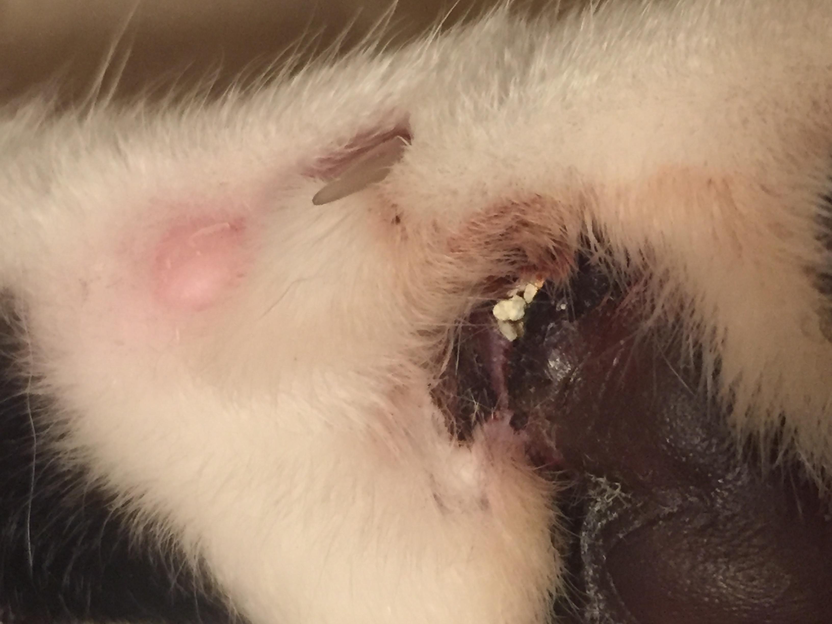 Question details sensitive content