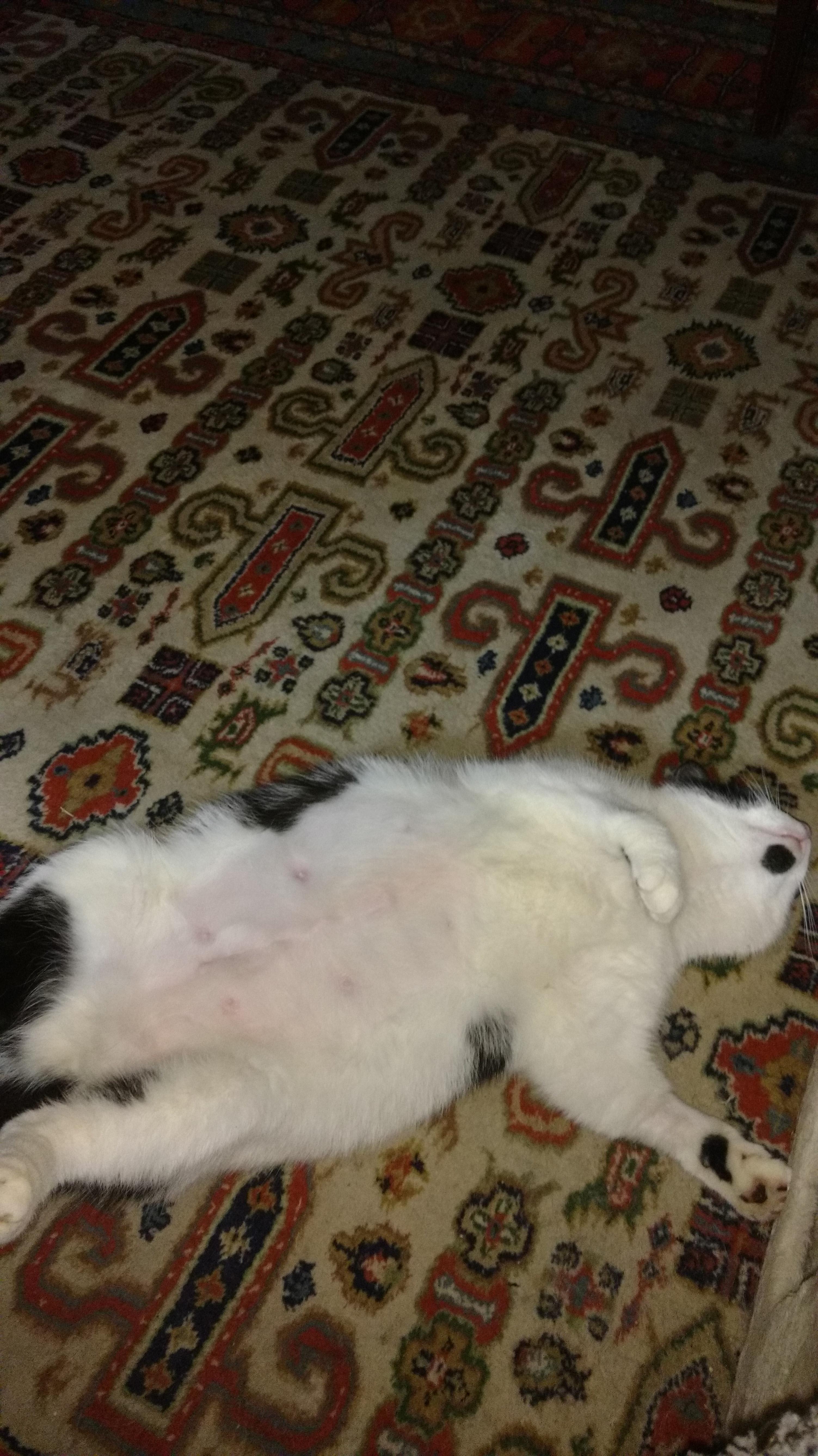 Question details sensitive content