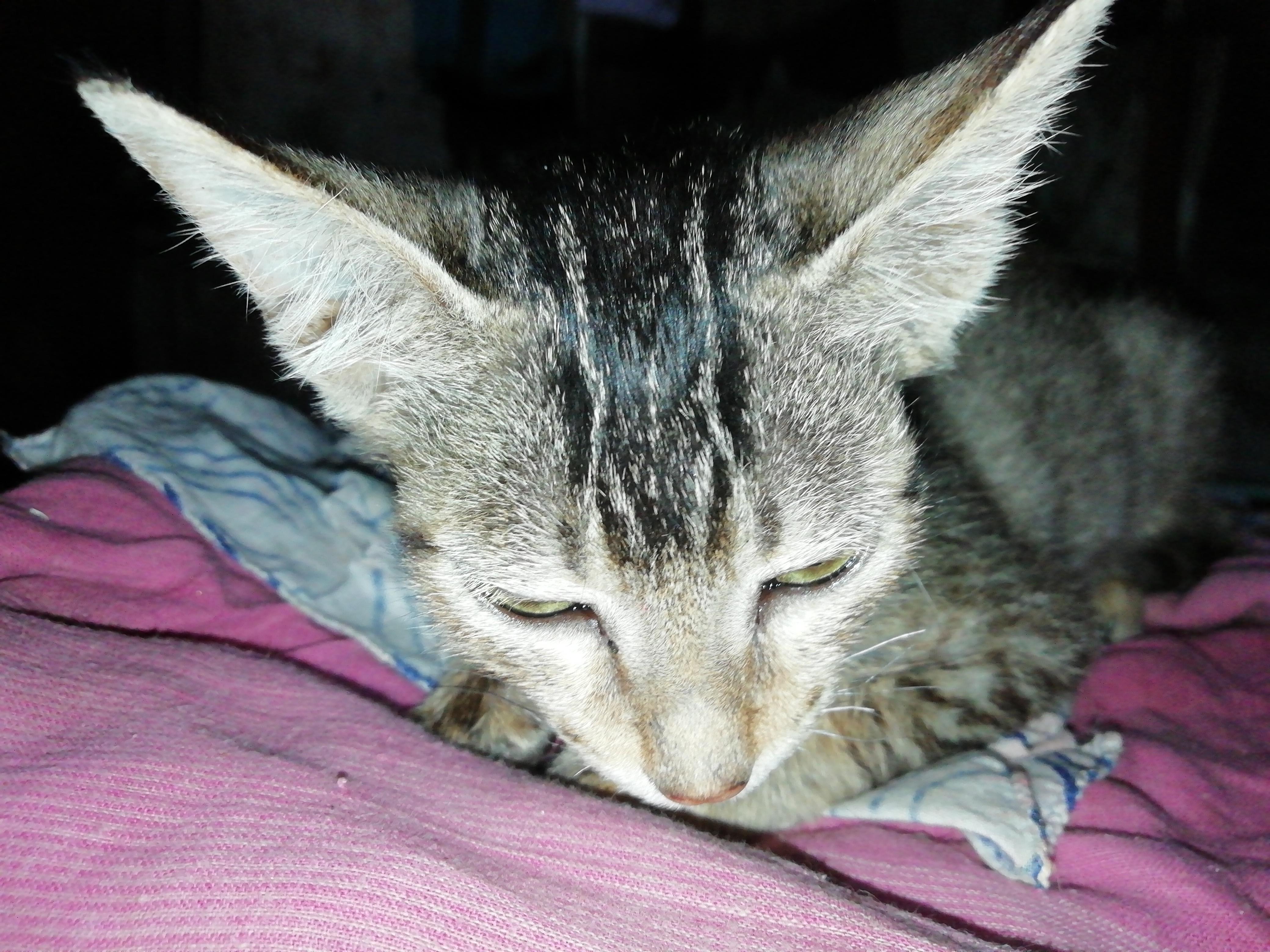 Question details sensitive content