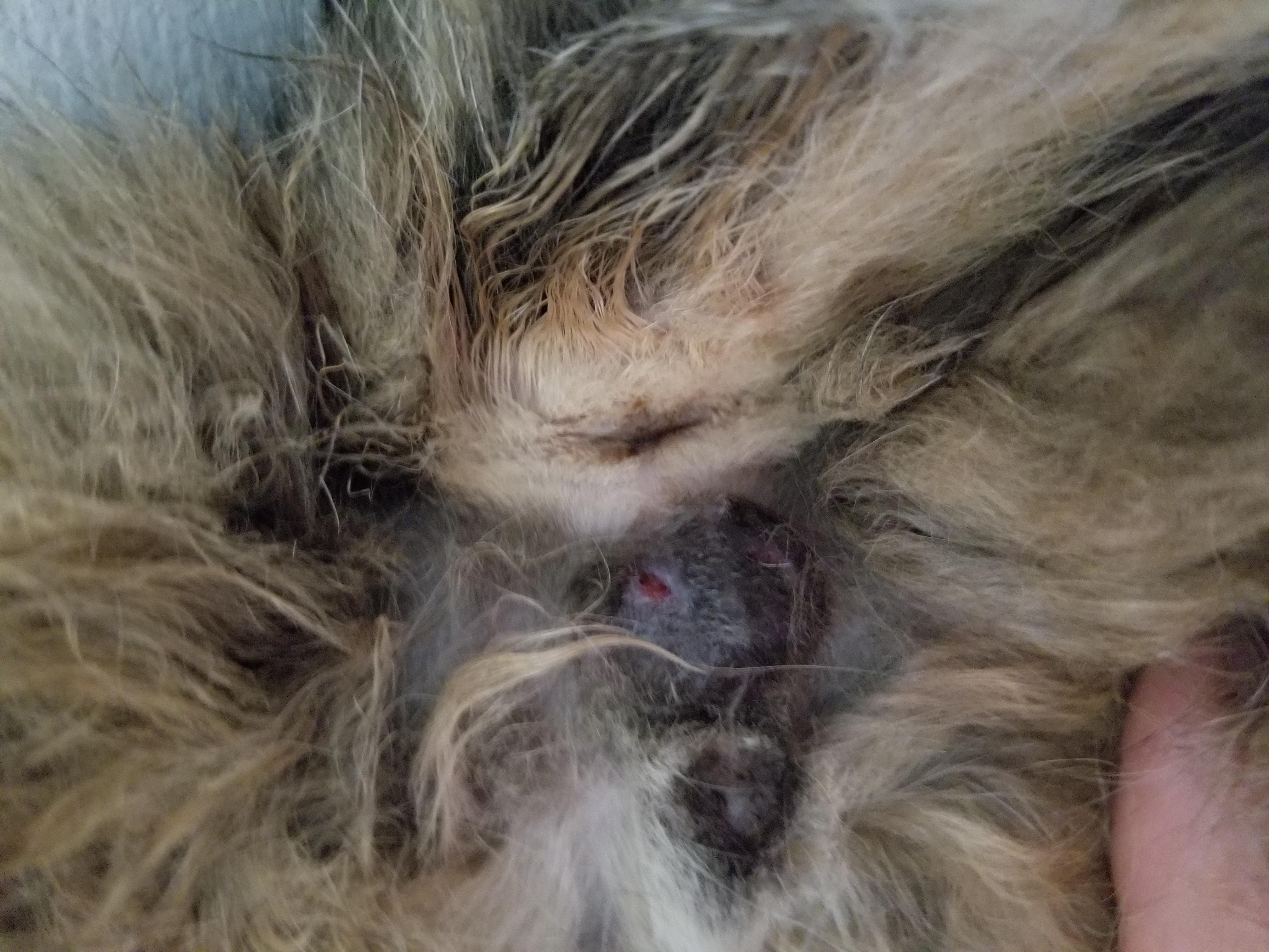 Question details sensitive content