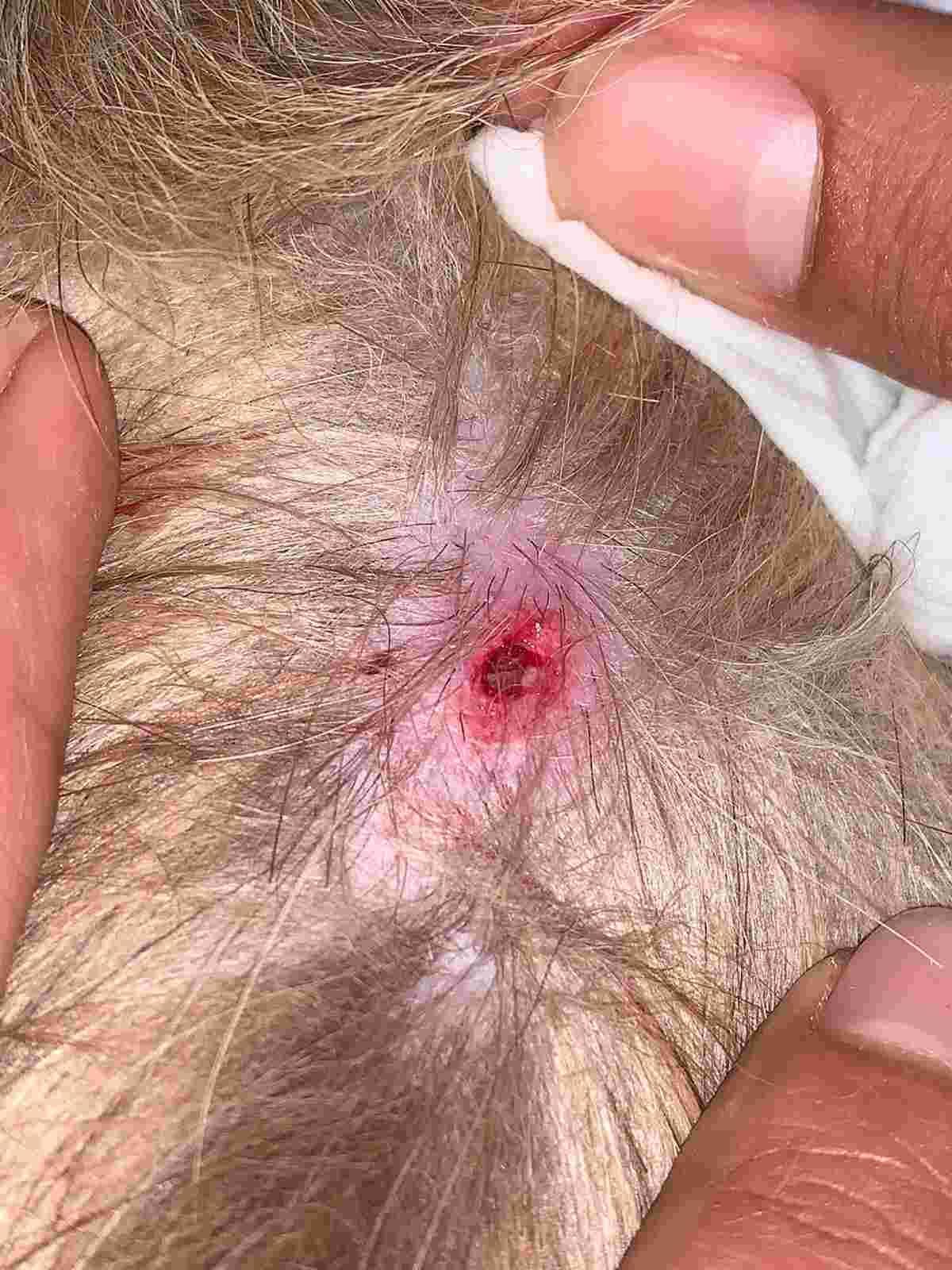 Question details sensitive content