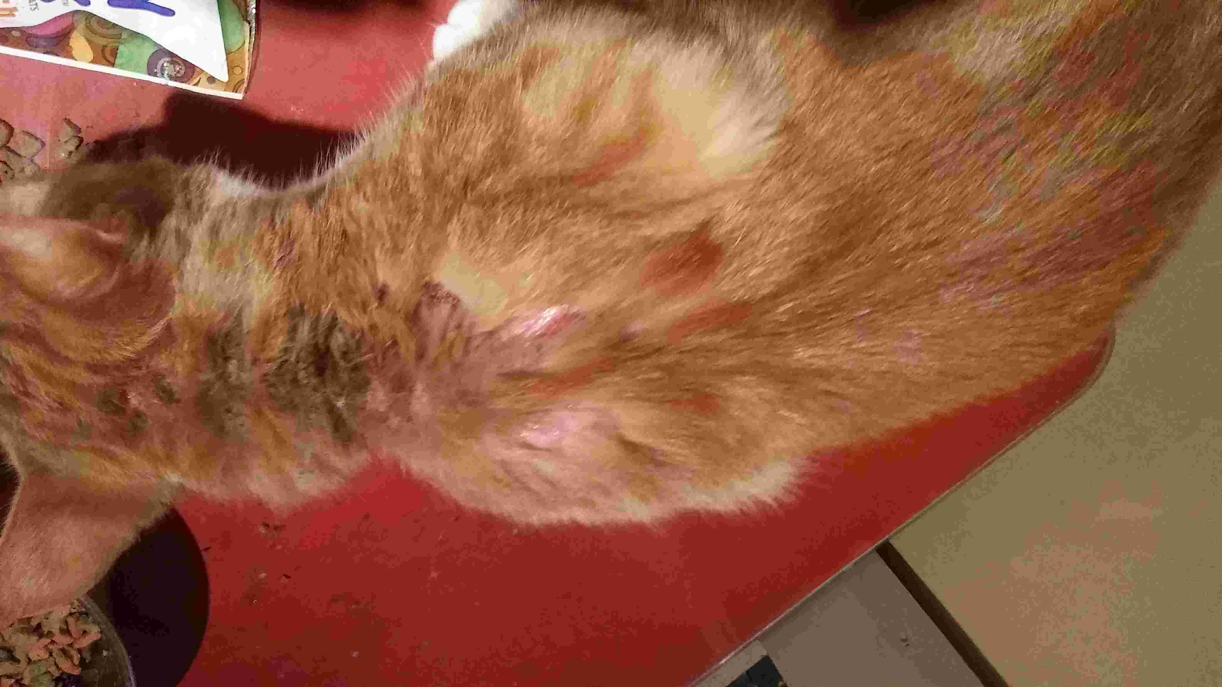 Question details sensitive content