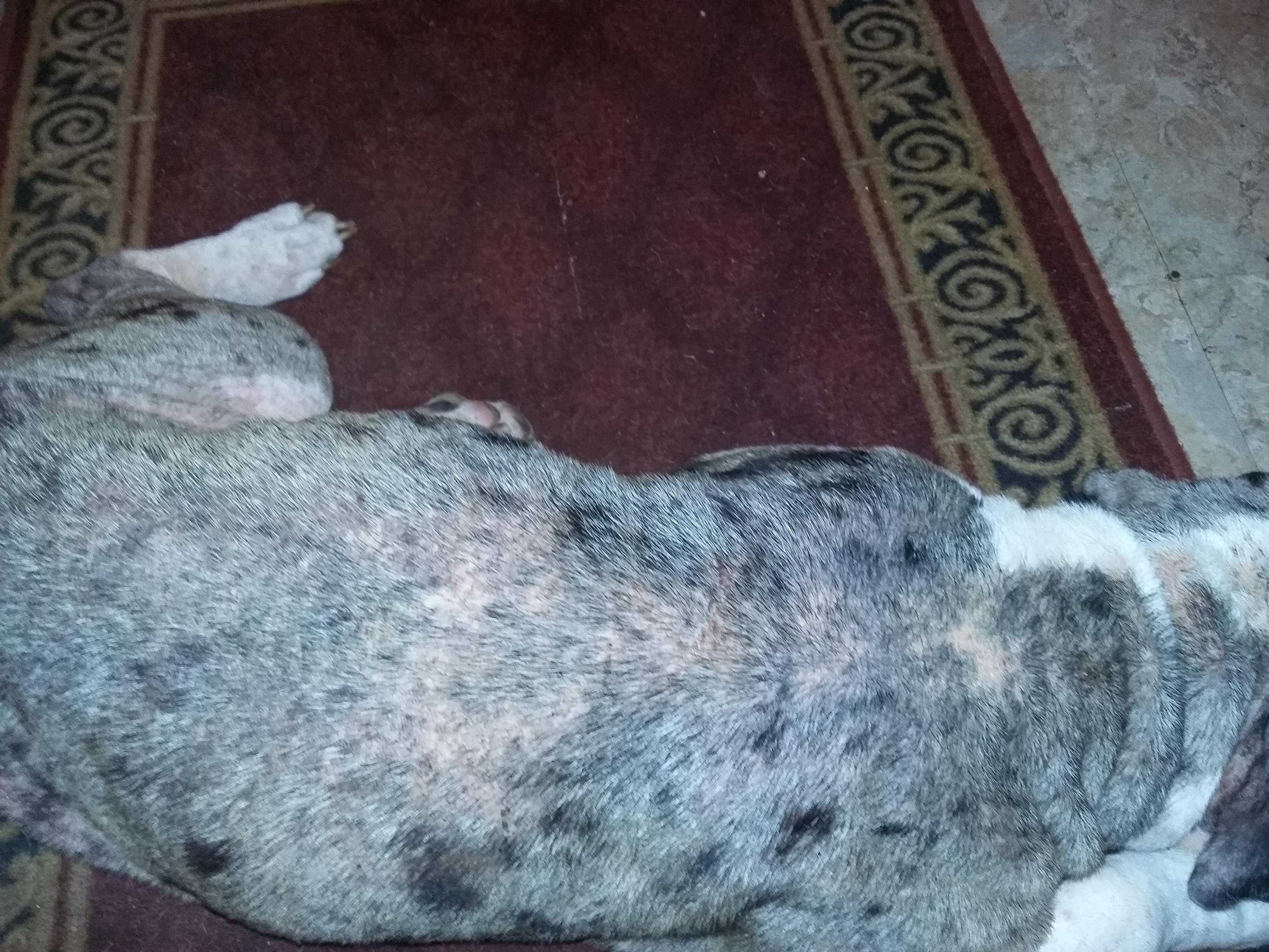 Question details sensitive content