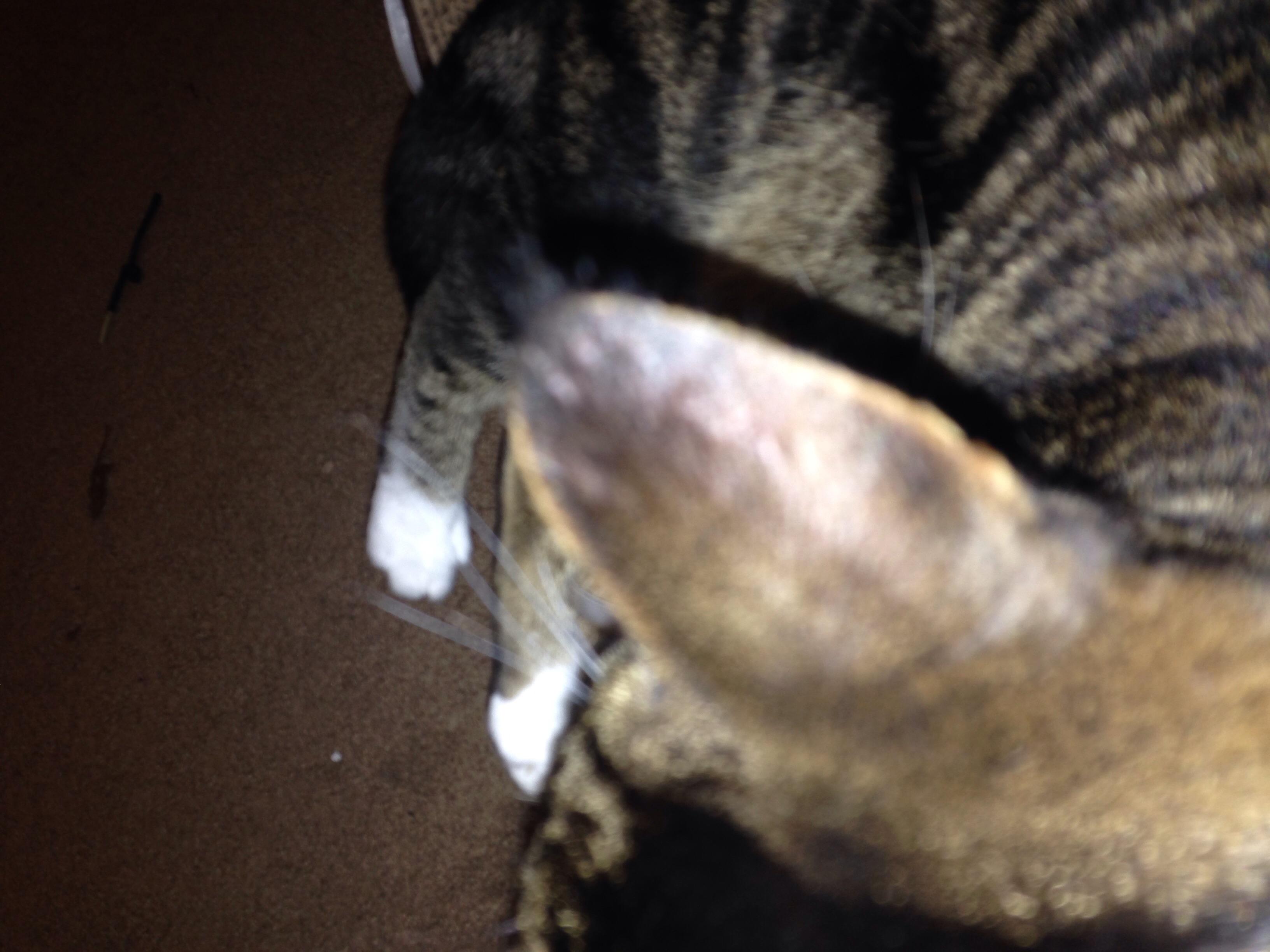 Question details sensitive content