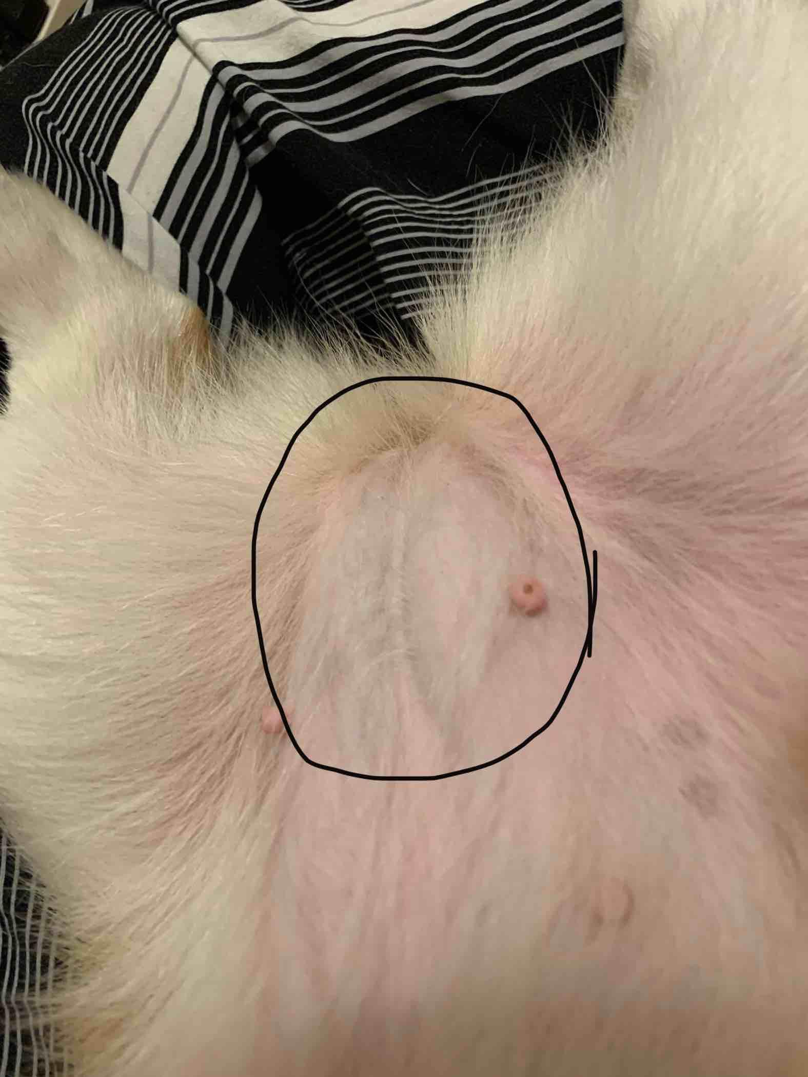 Question details sensitive content