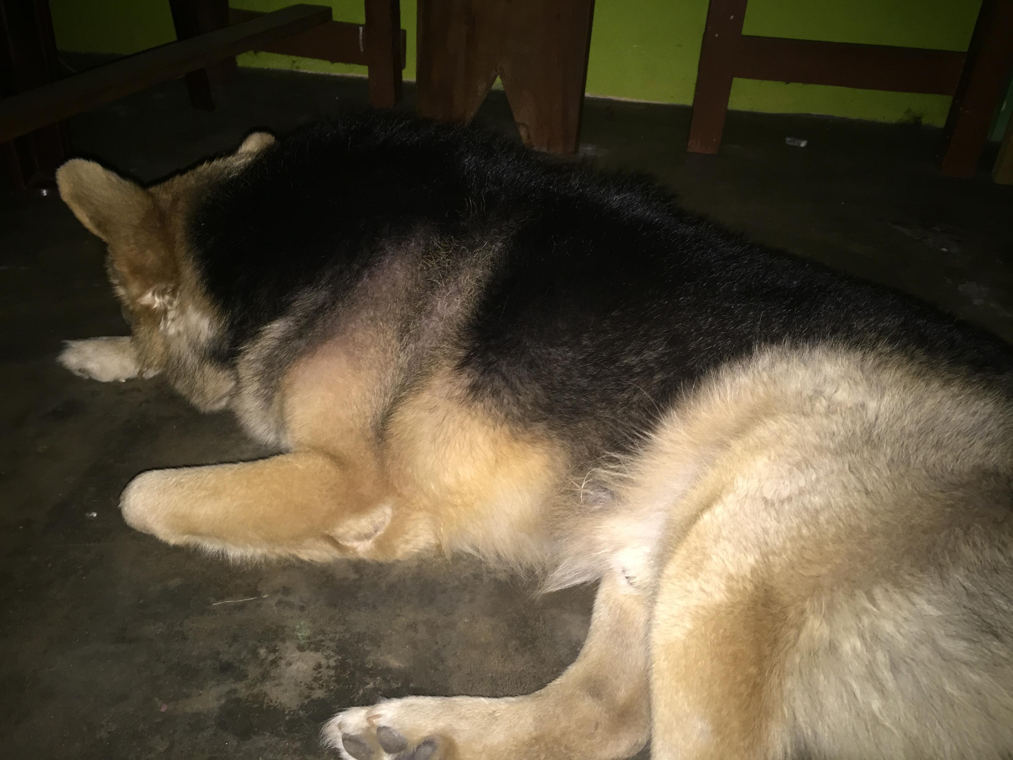 Question details sensitive content