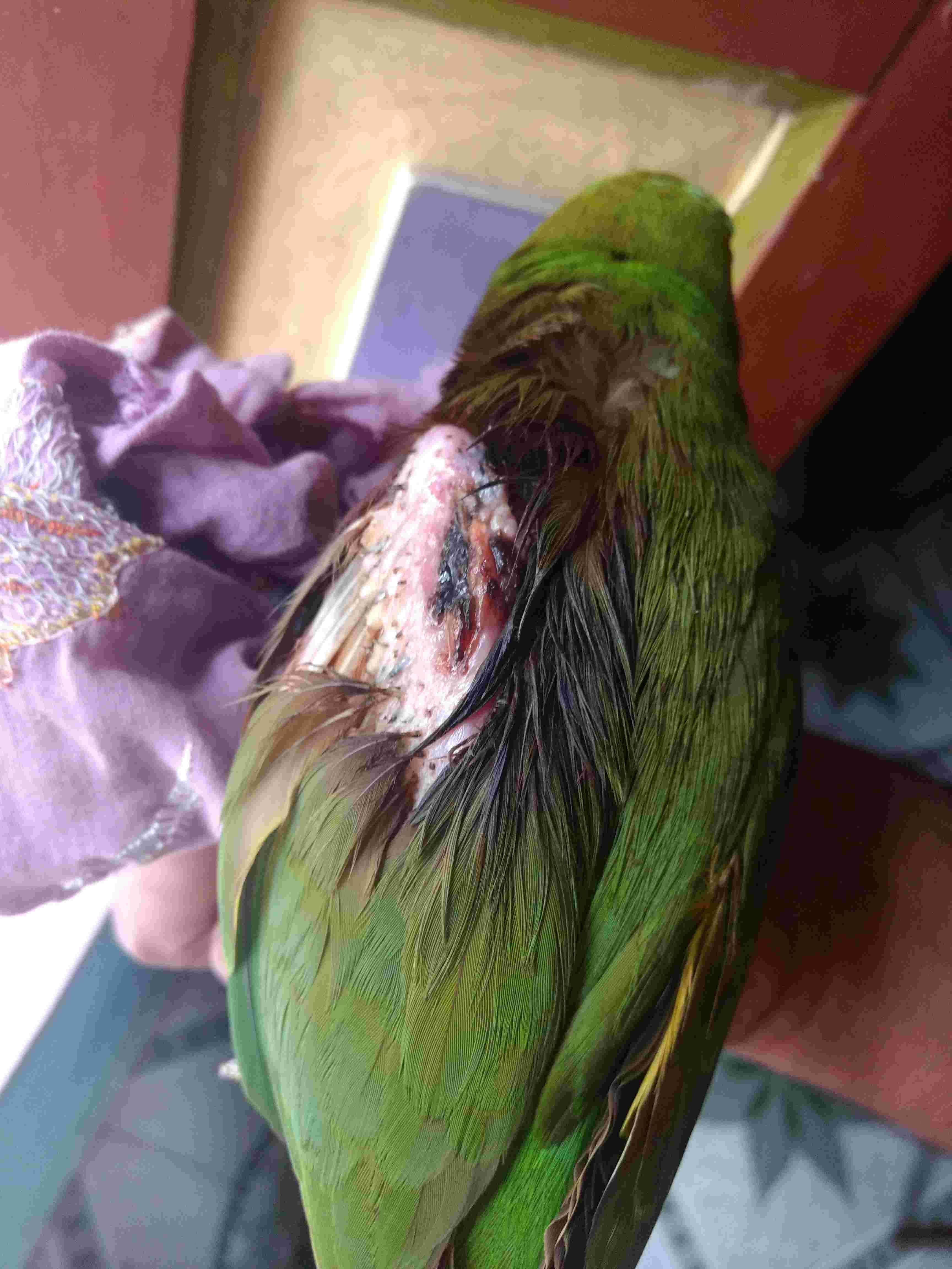 Question details sensitive content