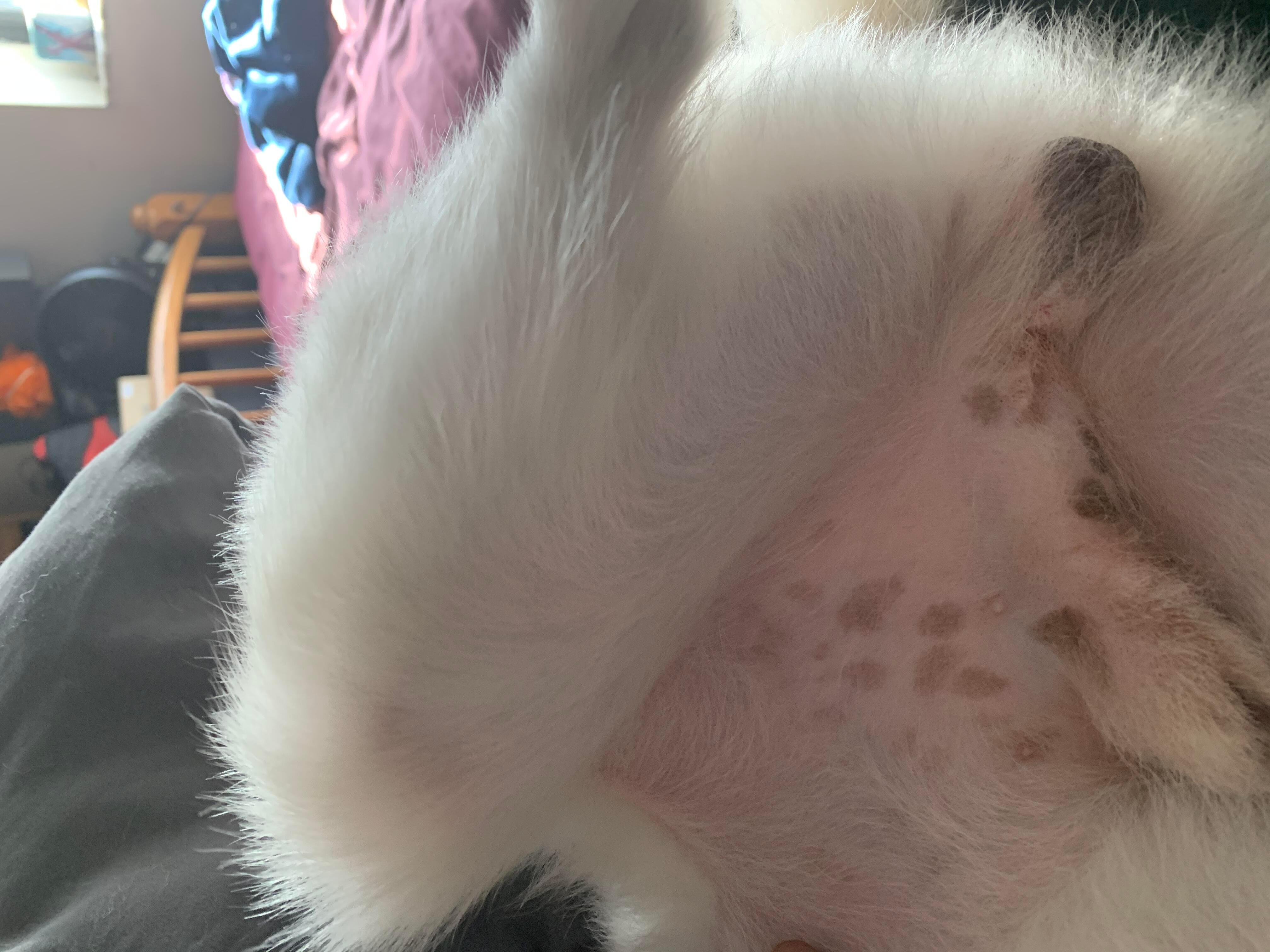 Question details sensitive content