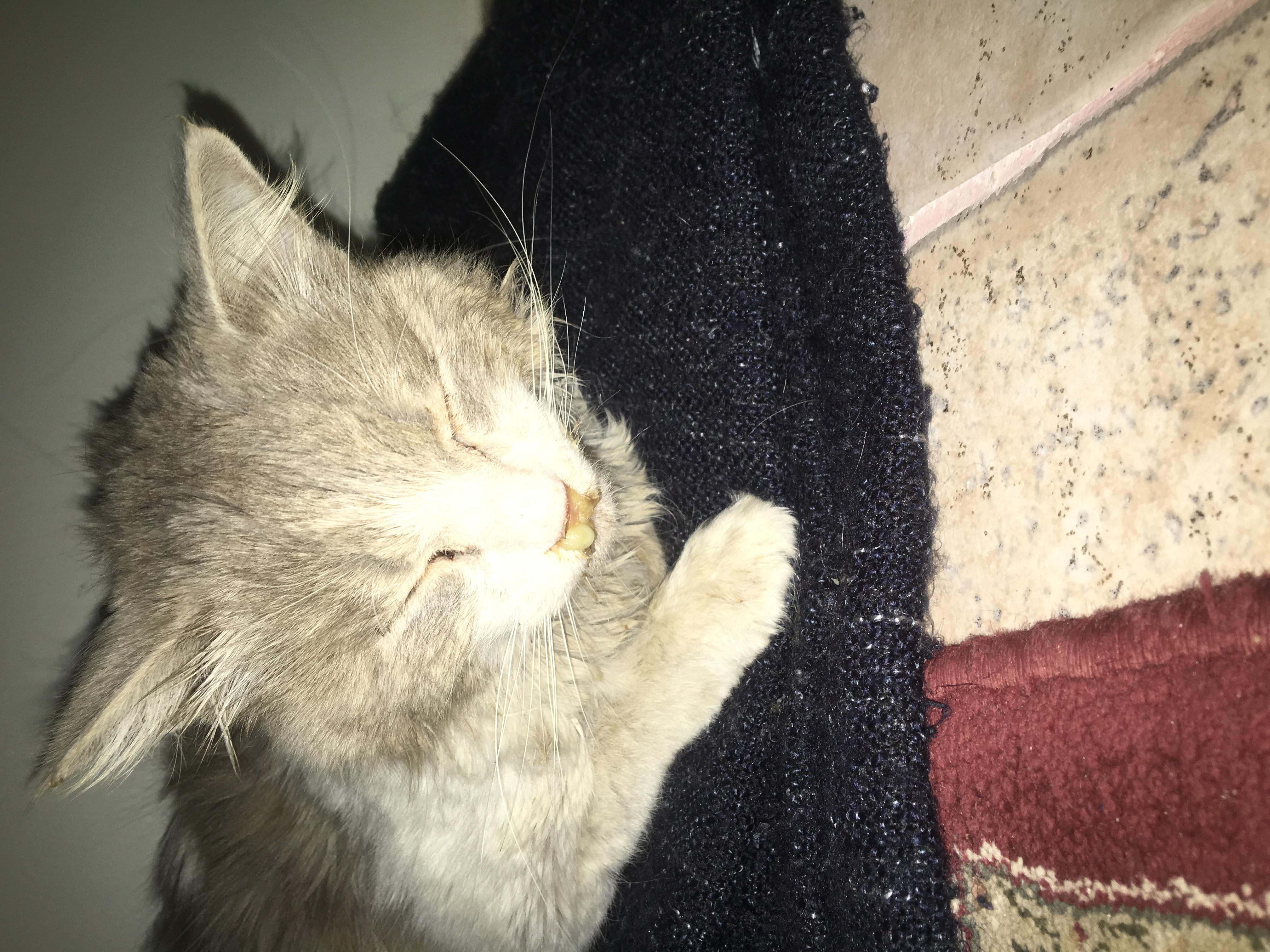 Question details sensitive content