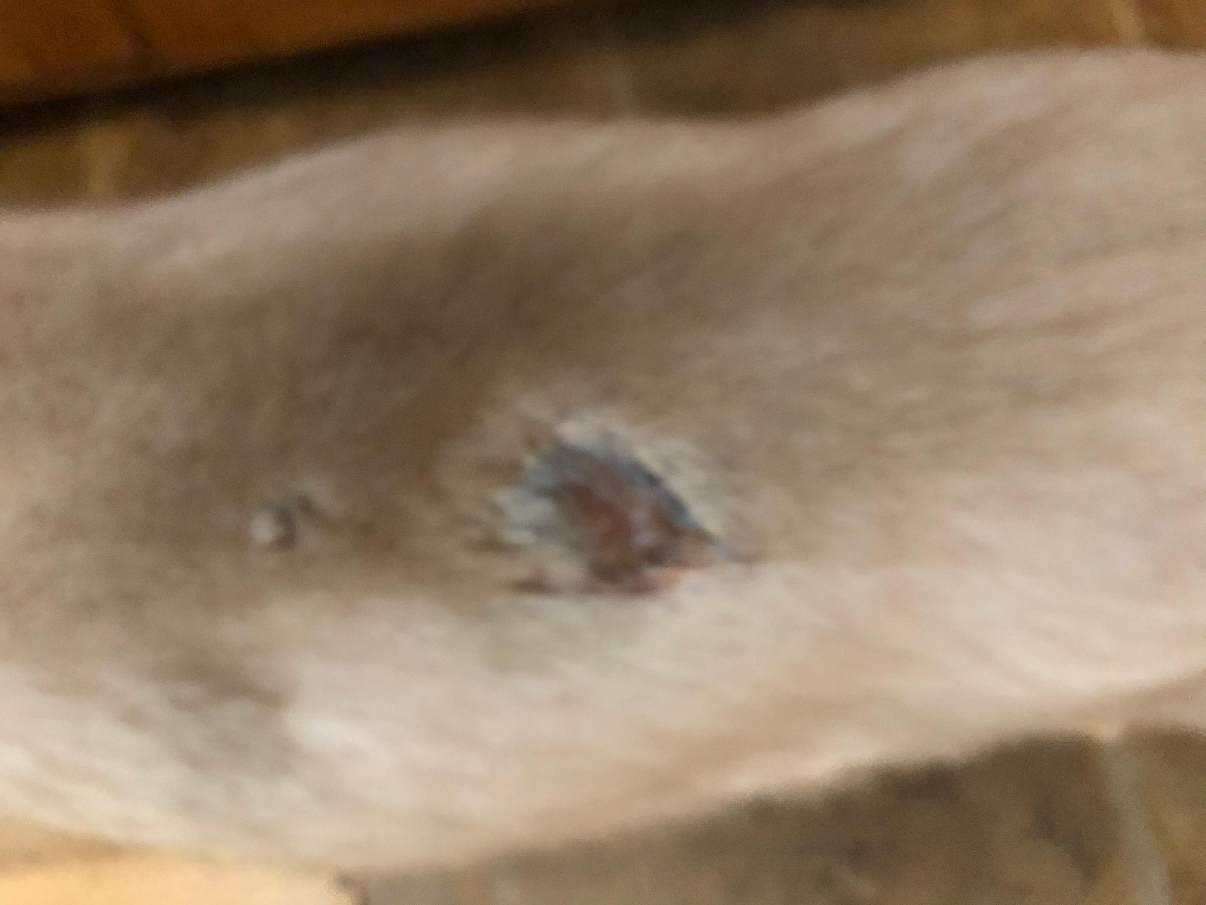 Question details sensitive content