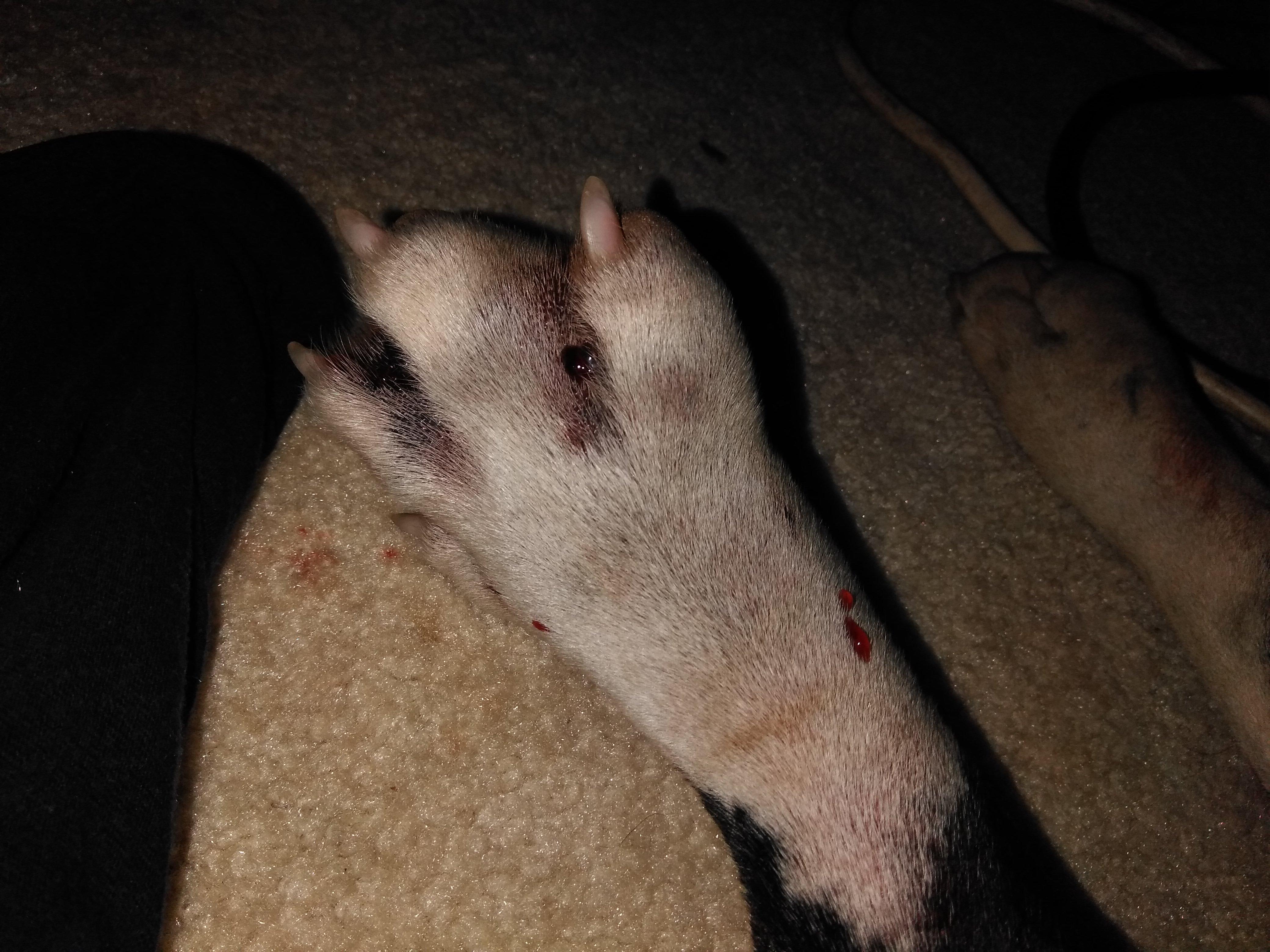 Question details sensitive content