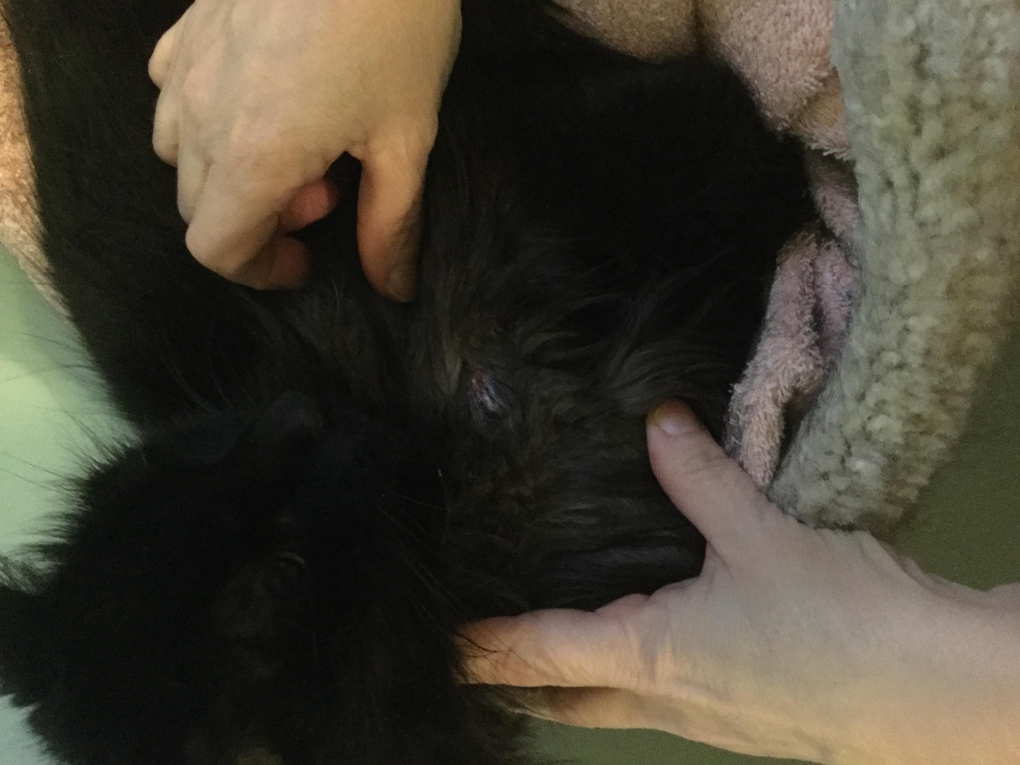 Question details sensitive content