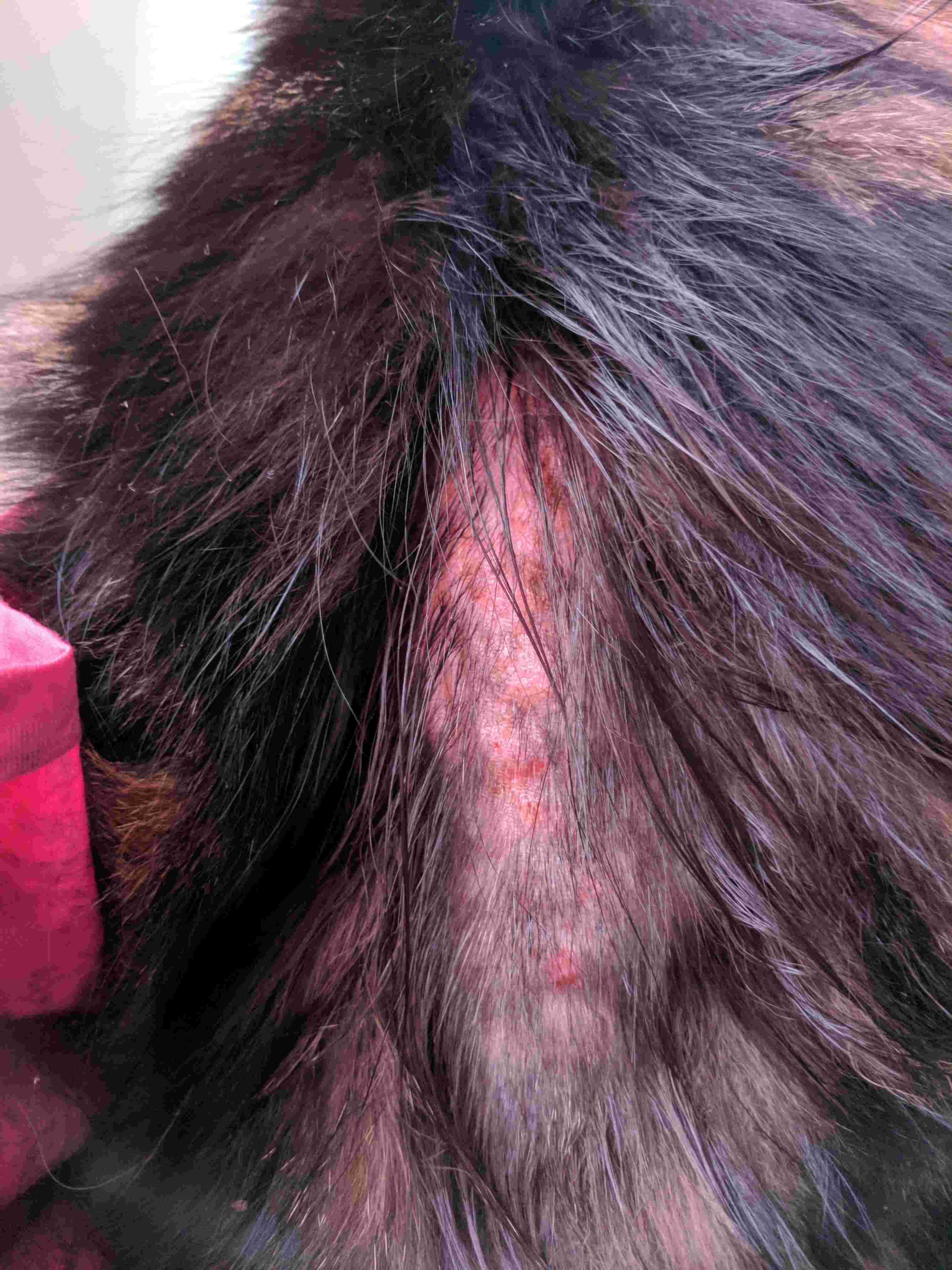 Question details sensitive content