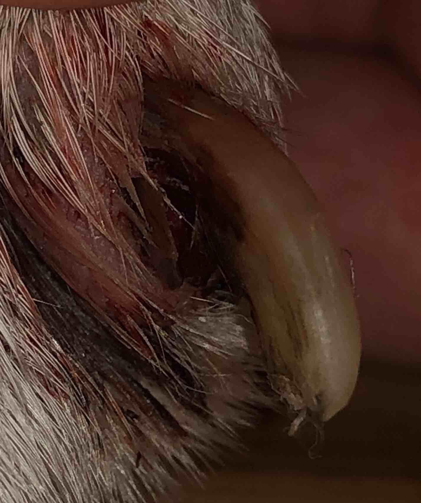 Question details sensitive content