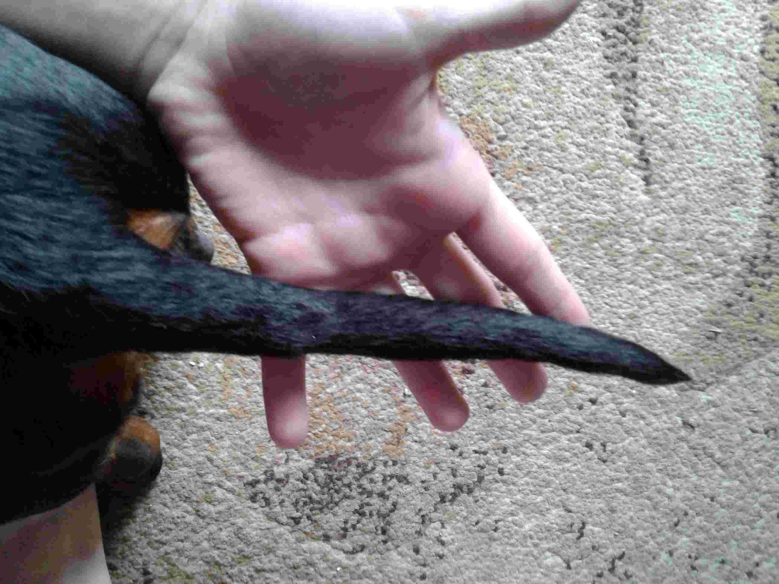 Question details sensitive content