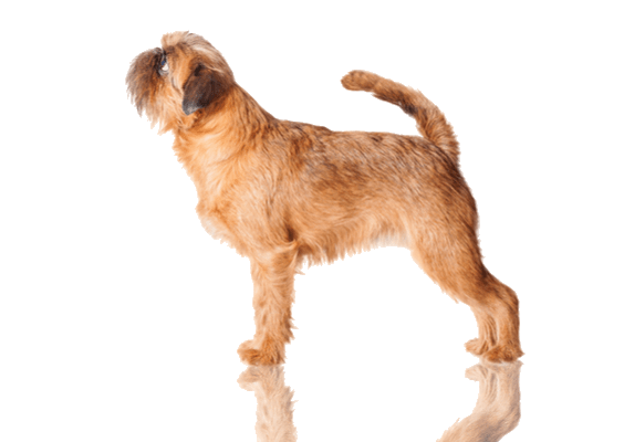 Petco Pet Education Center