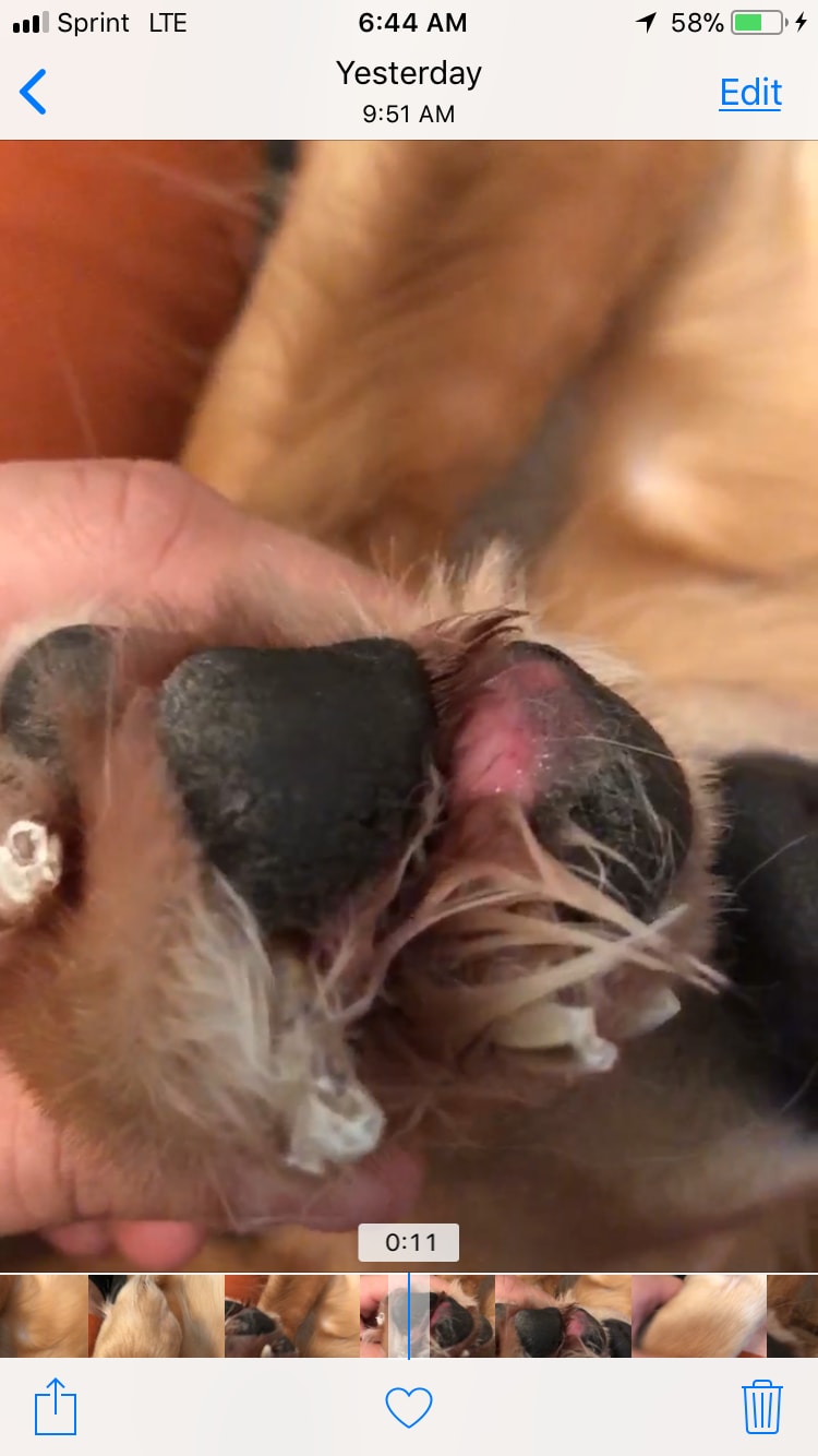 Question details sensitive content