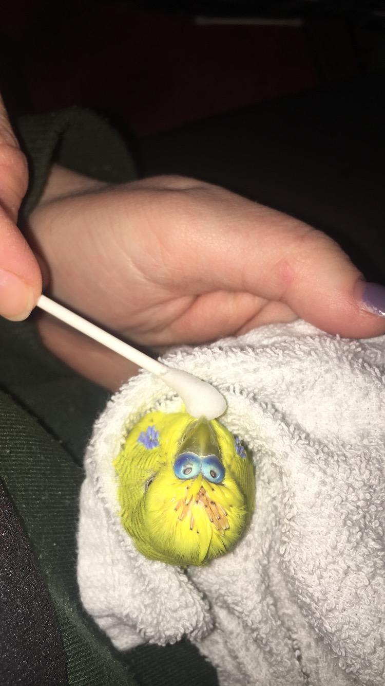 Question details sensitive content