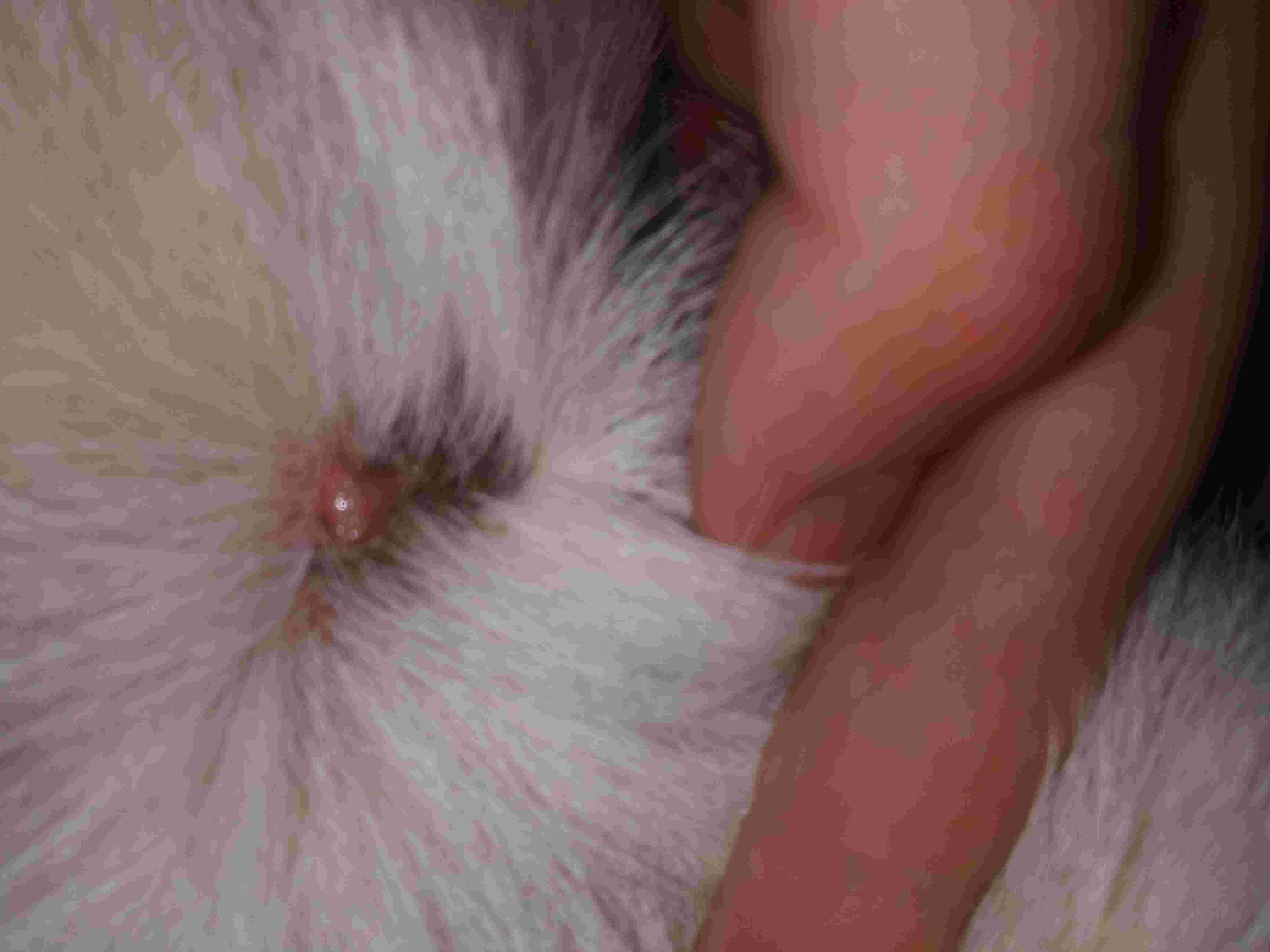 Question details sensitive content