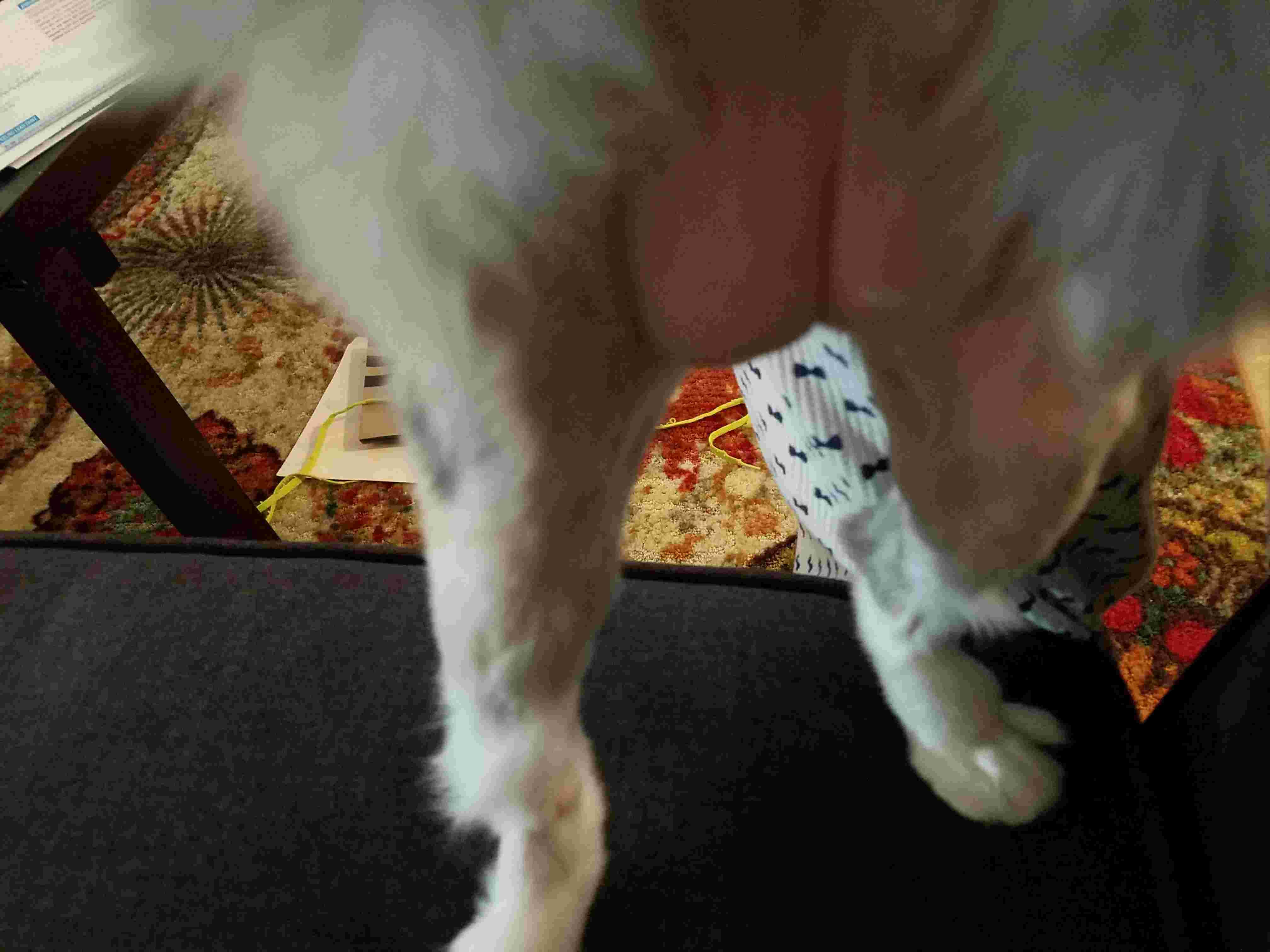 Question details sensitive content