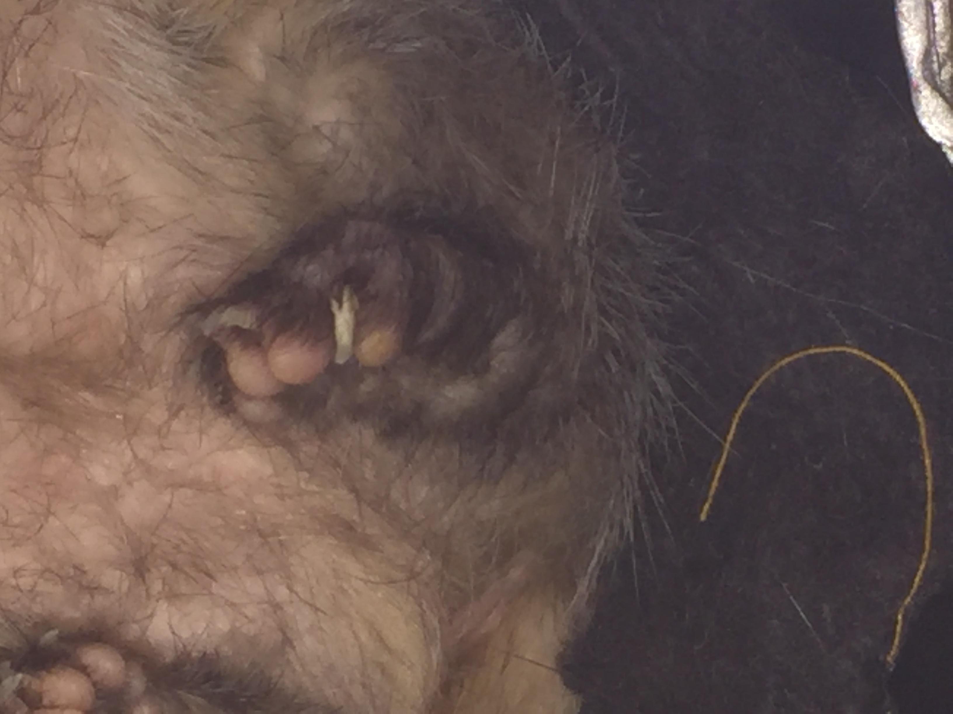 Question details sensitive content