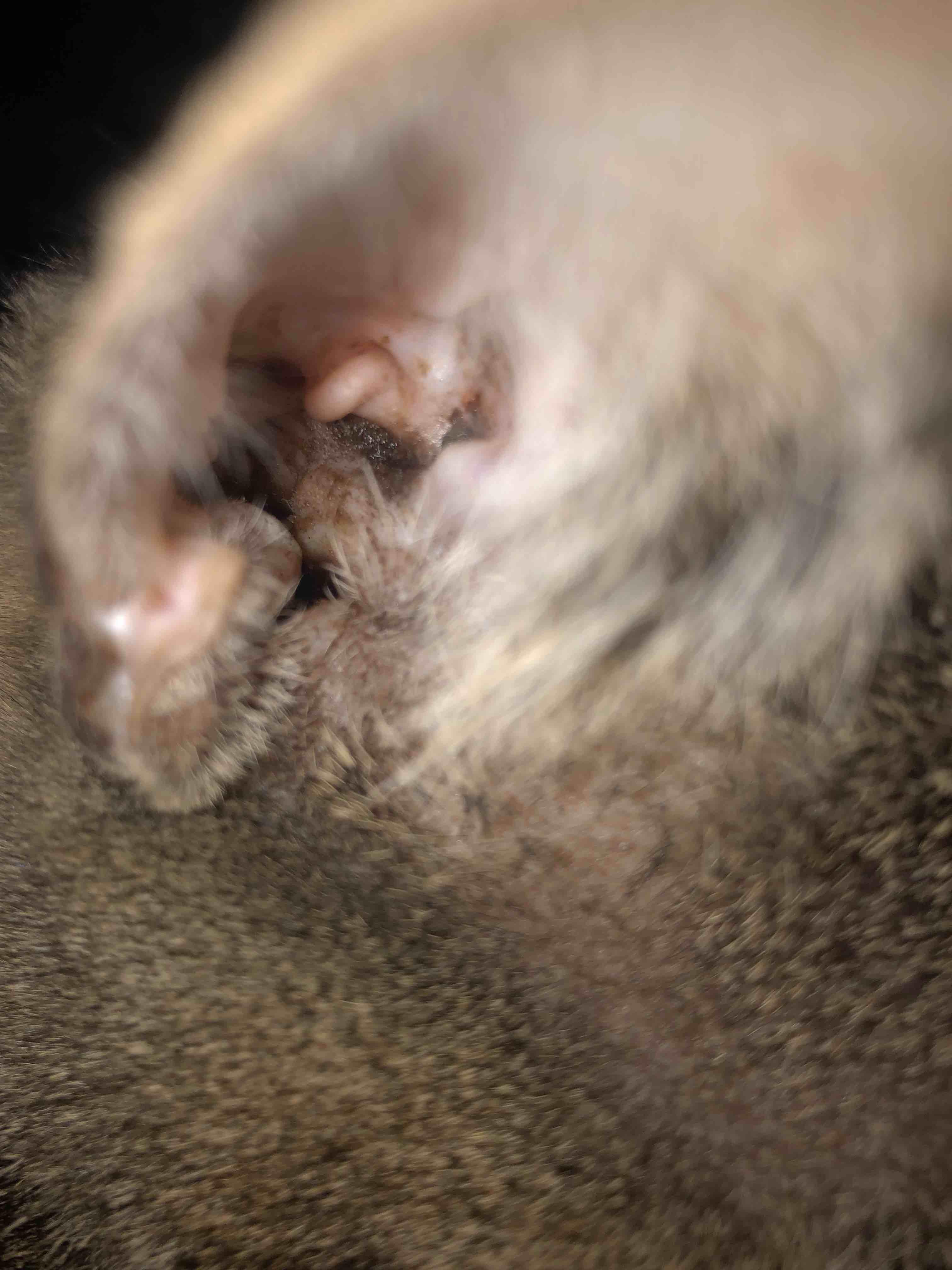 Question details sensitive content