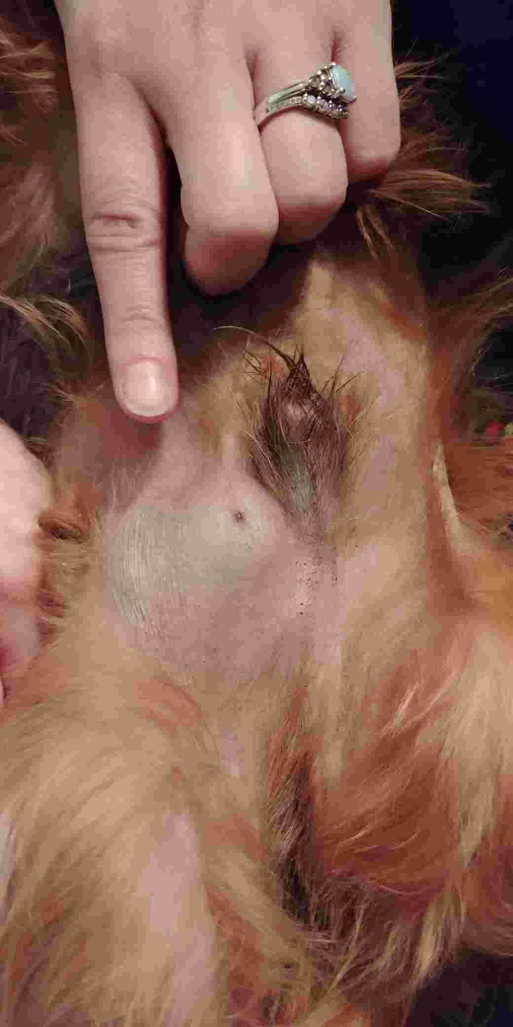 Question details sensitive content