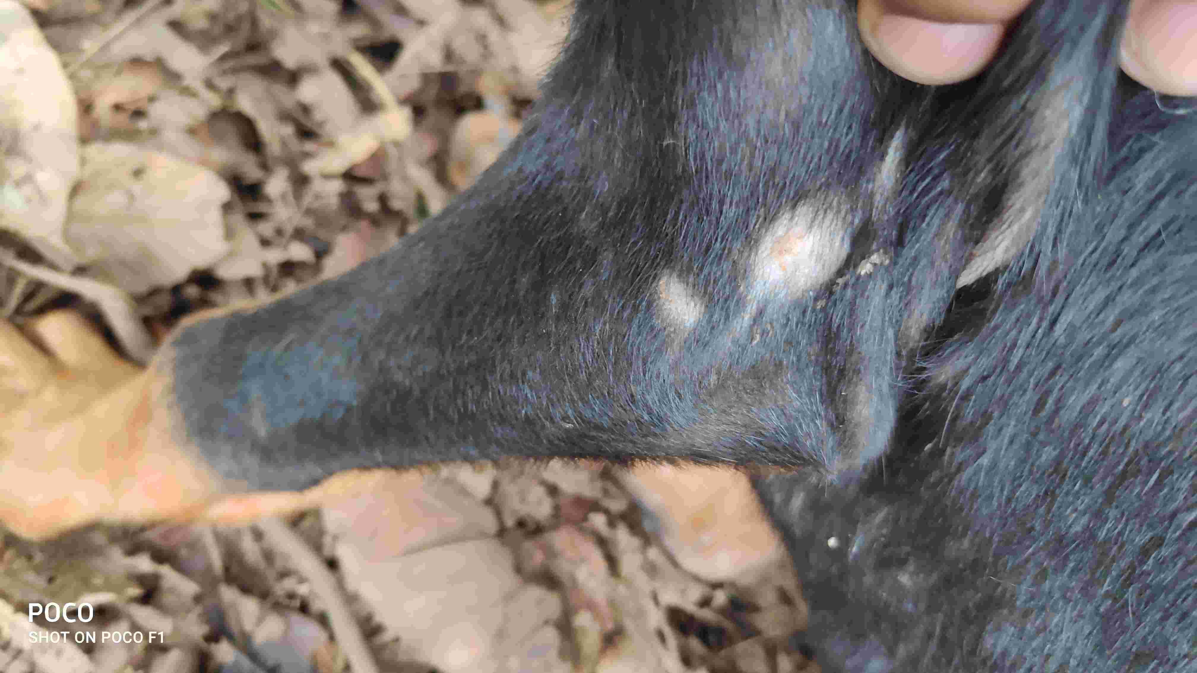 Question details sensitive content