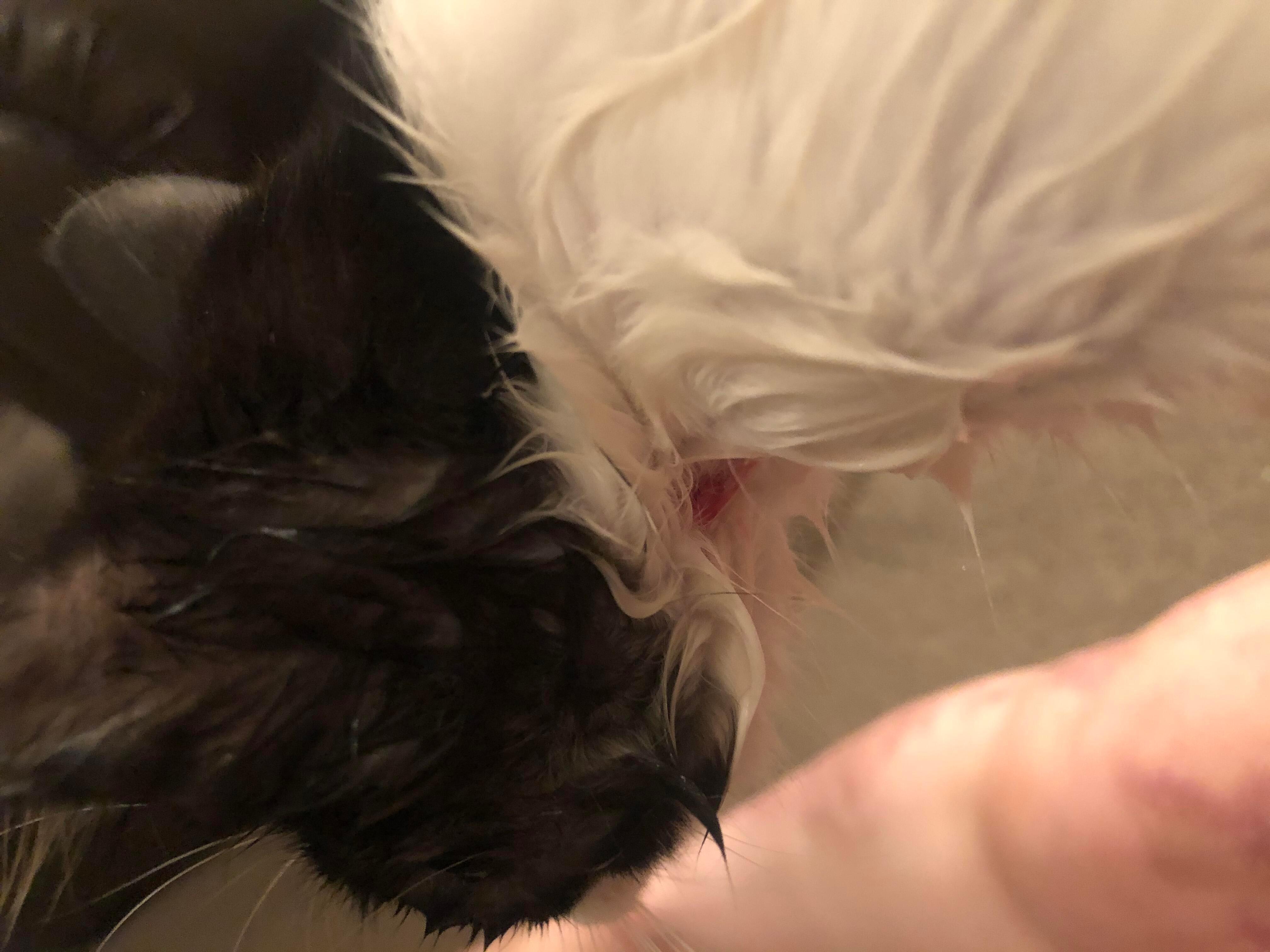 Question details sensitive content