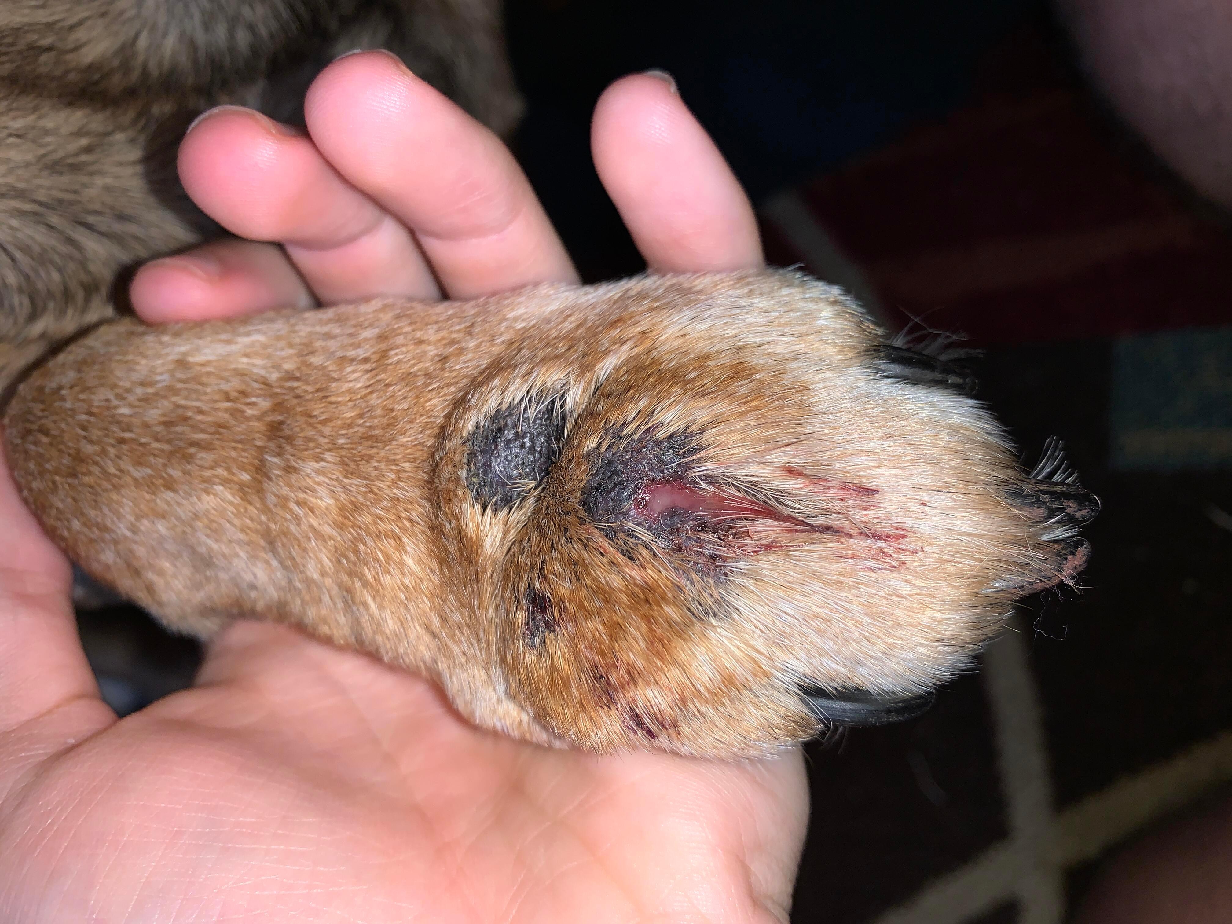 Question details sensitive content