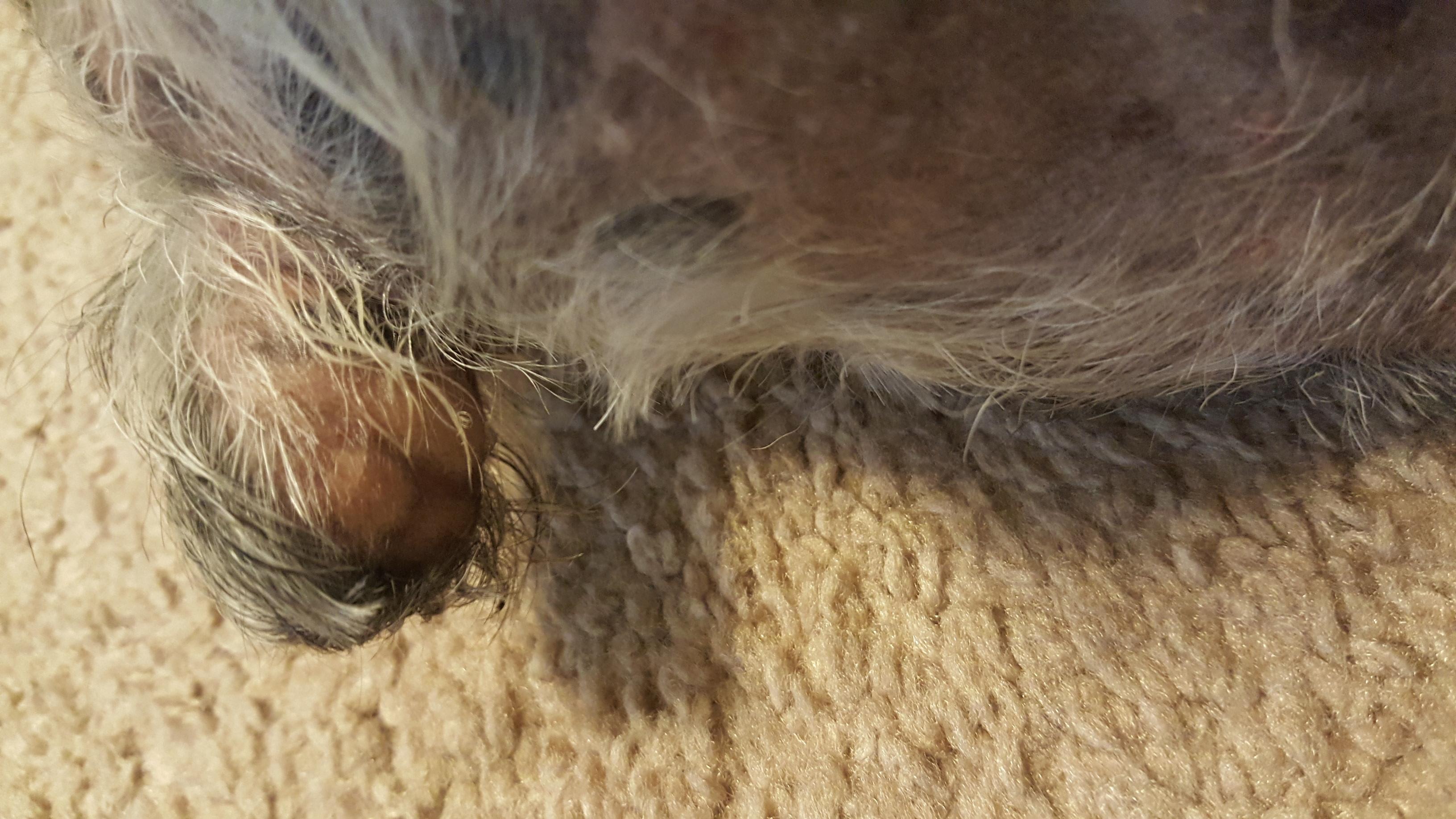 Question details sensitive content