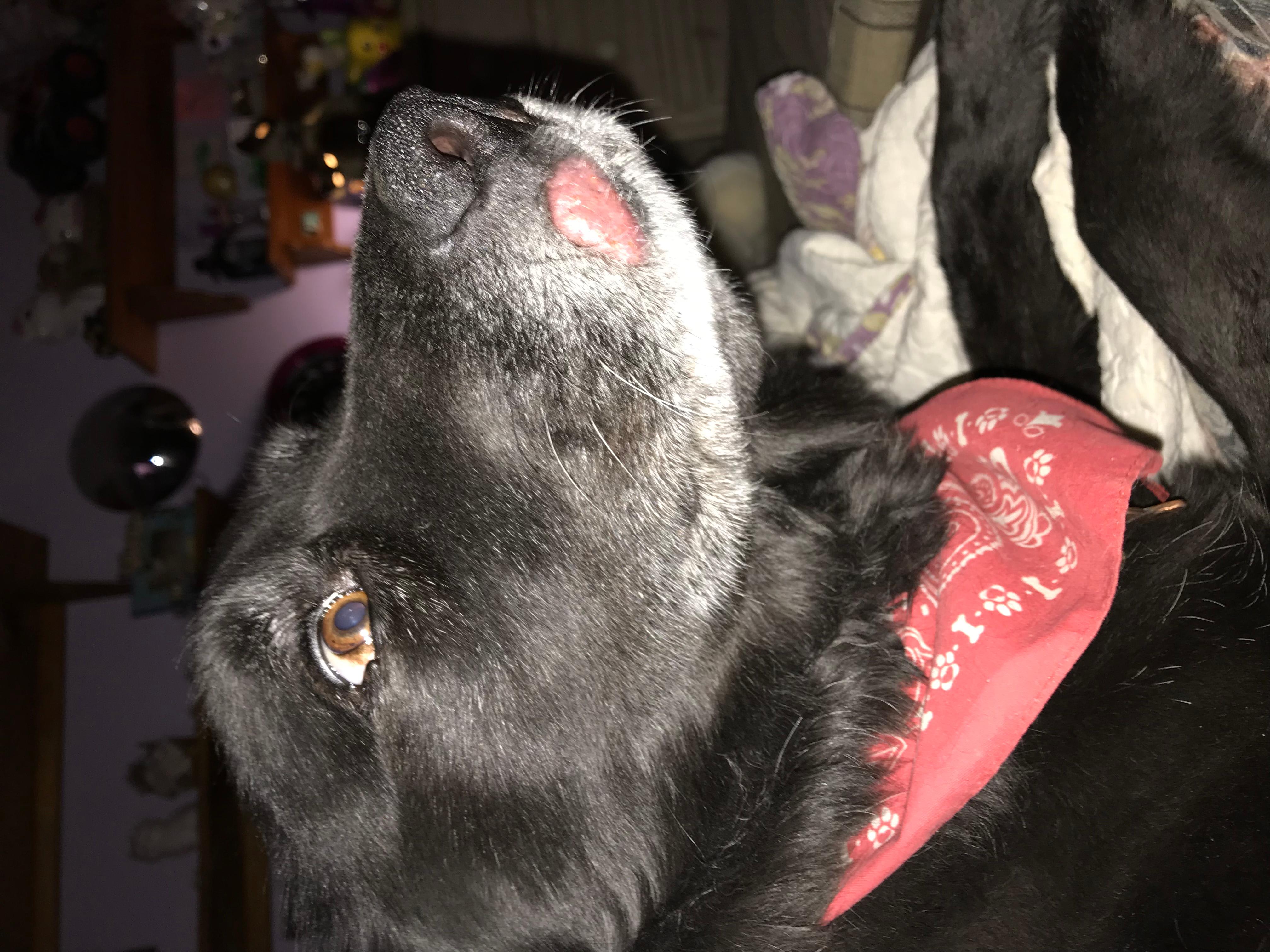 Question details sensitive content