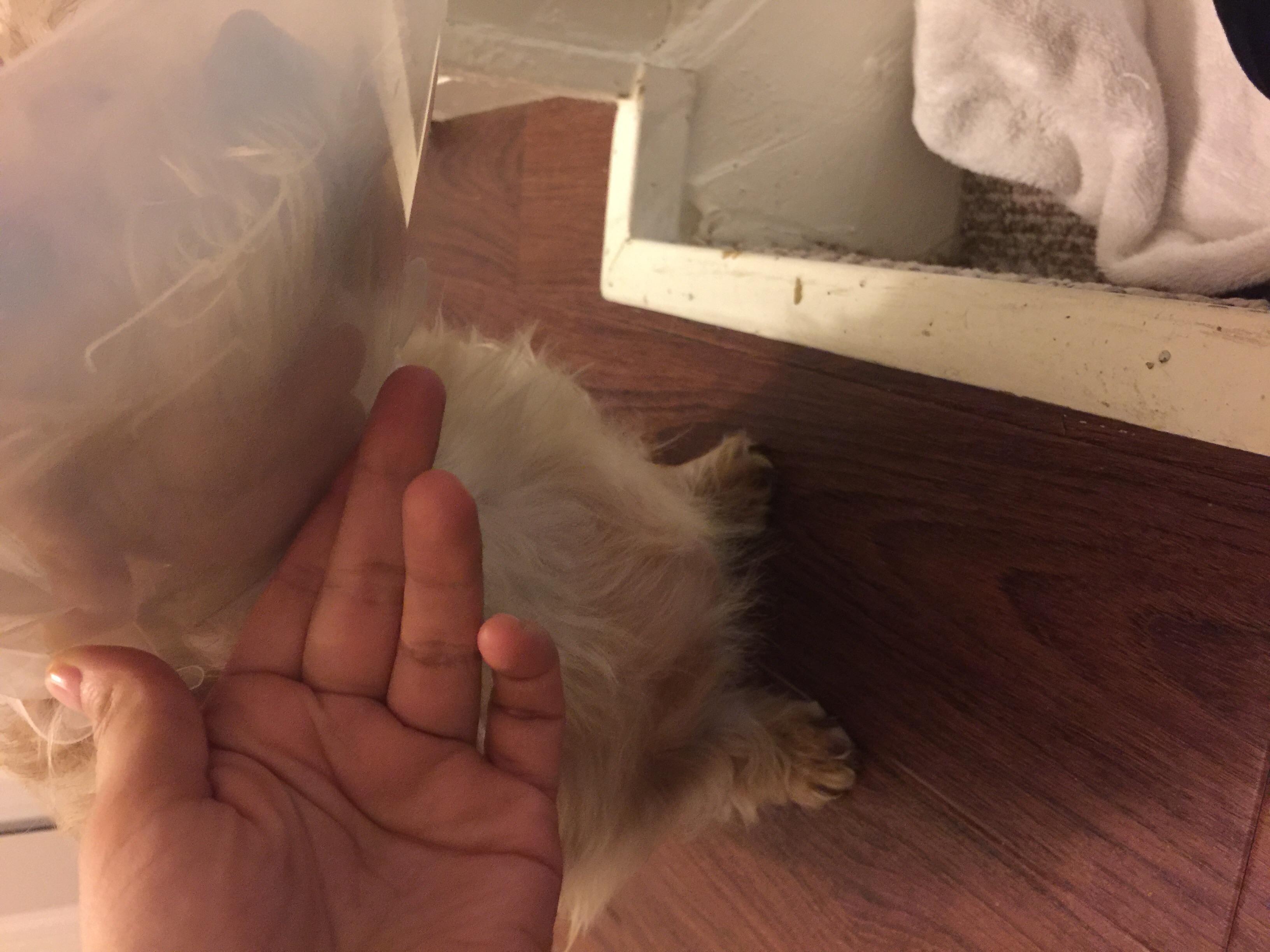 Question details sensitive content