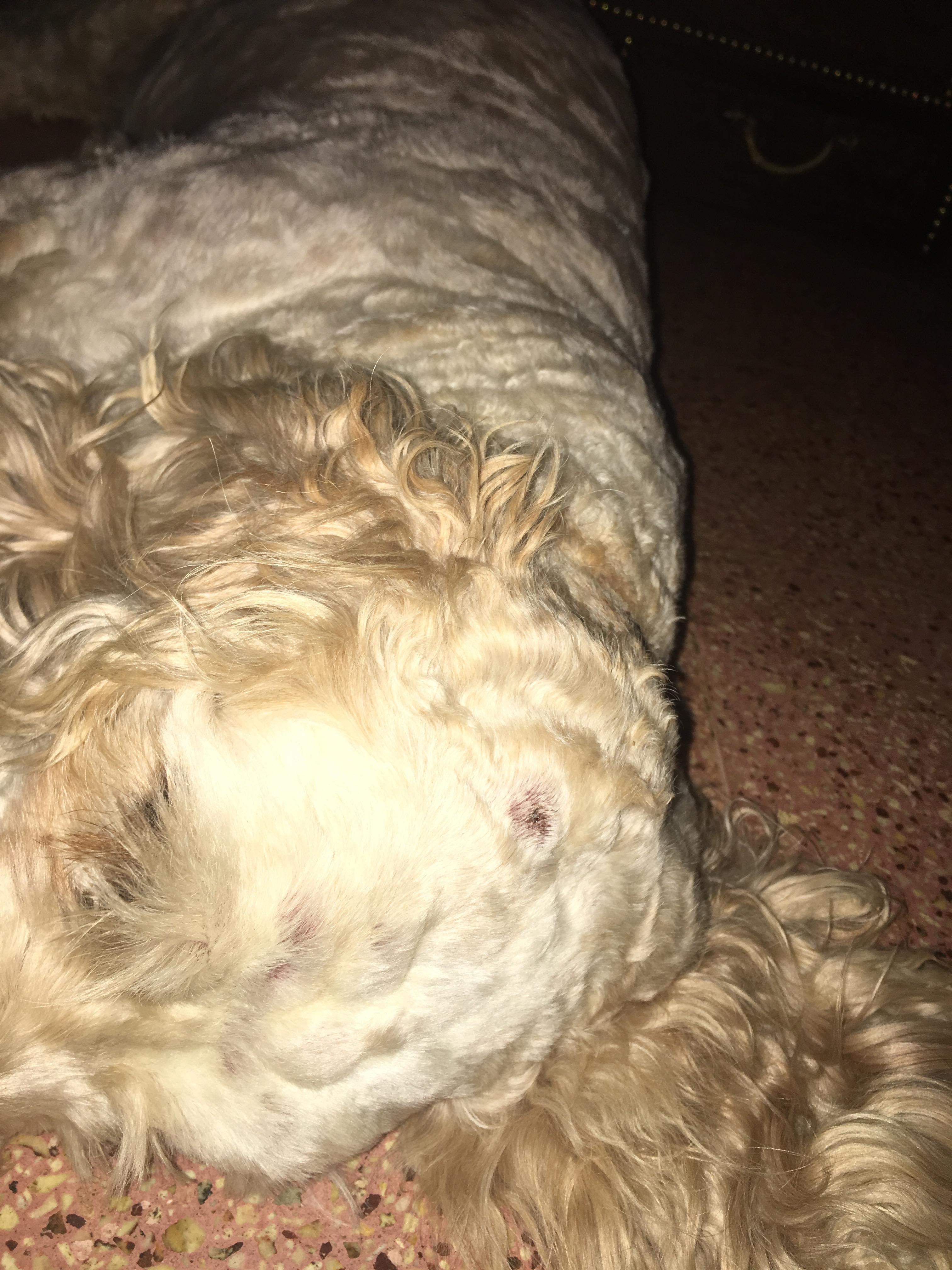 Question details sensitive content