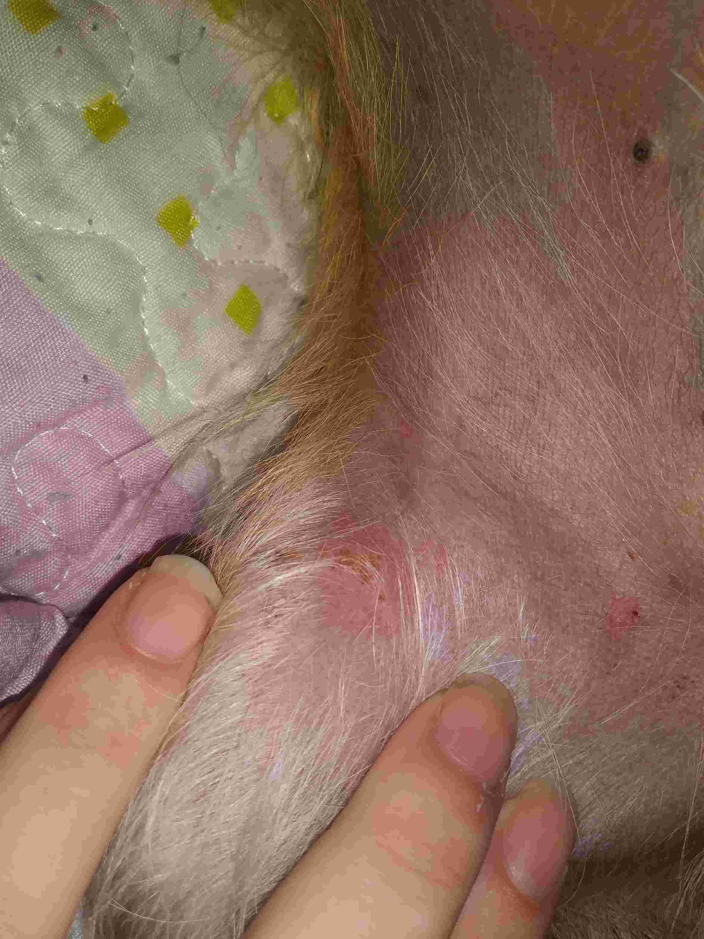 Question details sensitive content