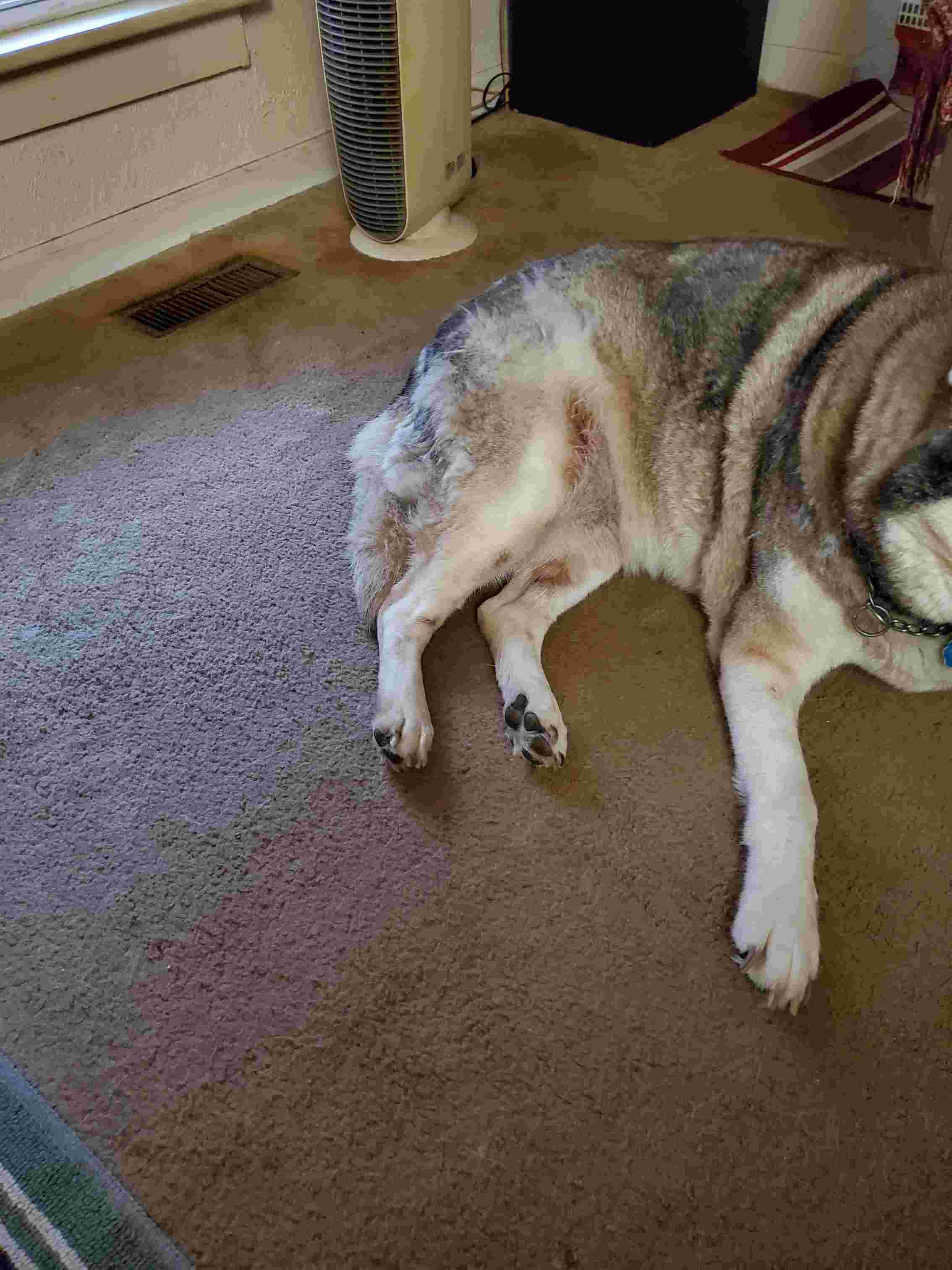 Question details sensitive content